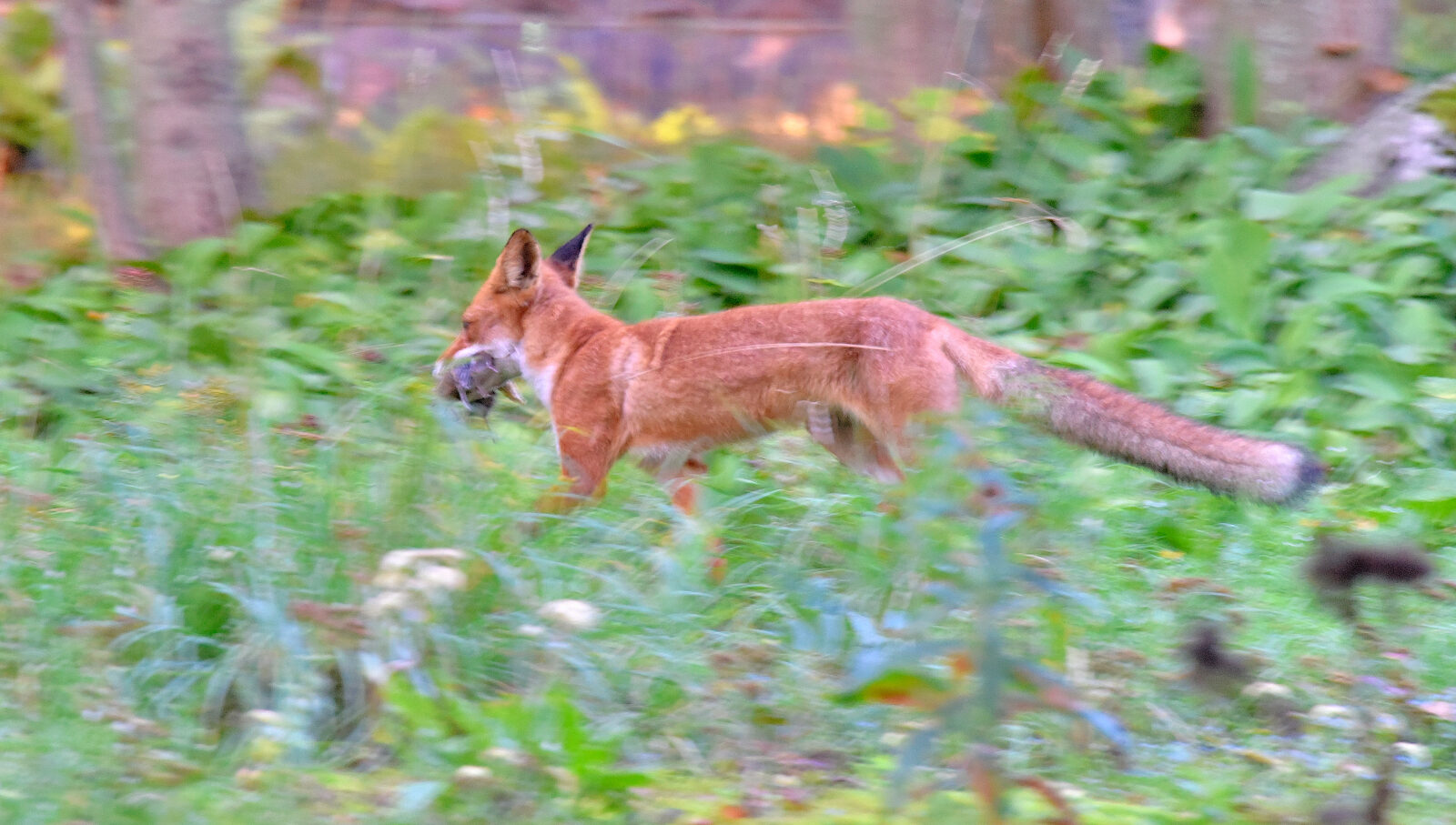 Valokuvaaja: Reijo Juurinen