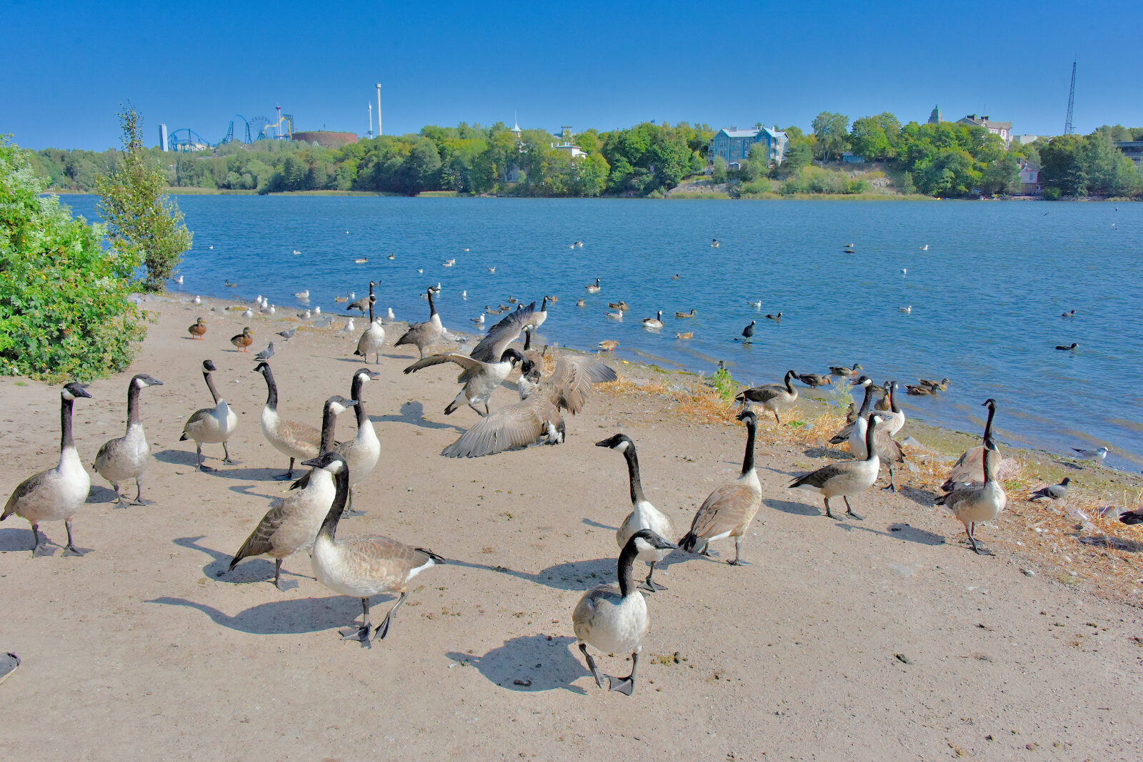 Valokuvaaja: Reijo Juurinen Valokuvaaja: Reijo Juurinen