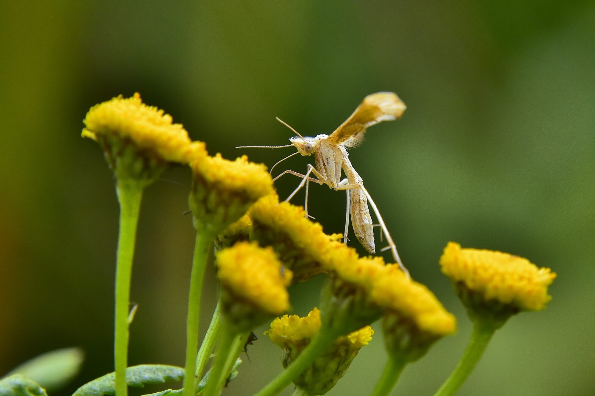 Valokuvaaja: Markku Pelkonen