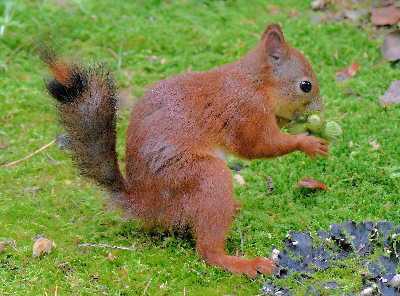 Valokuvaaja: Reijo Juurinen