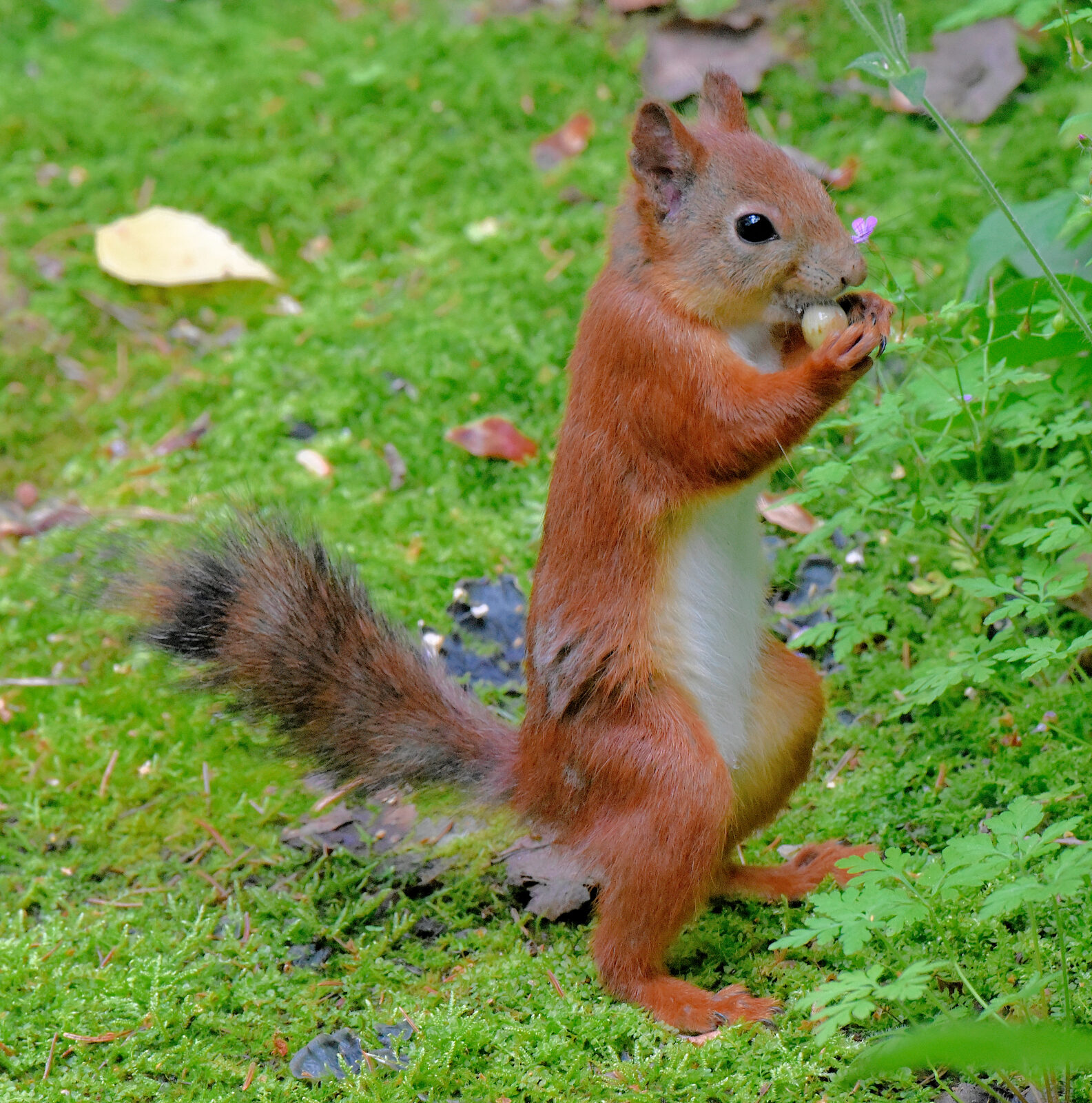 Valokuvaaja: Reijo Juurinen