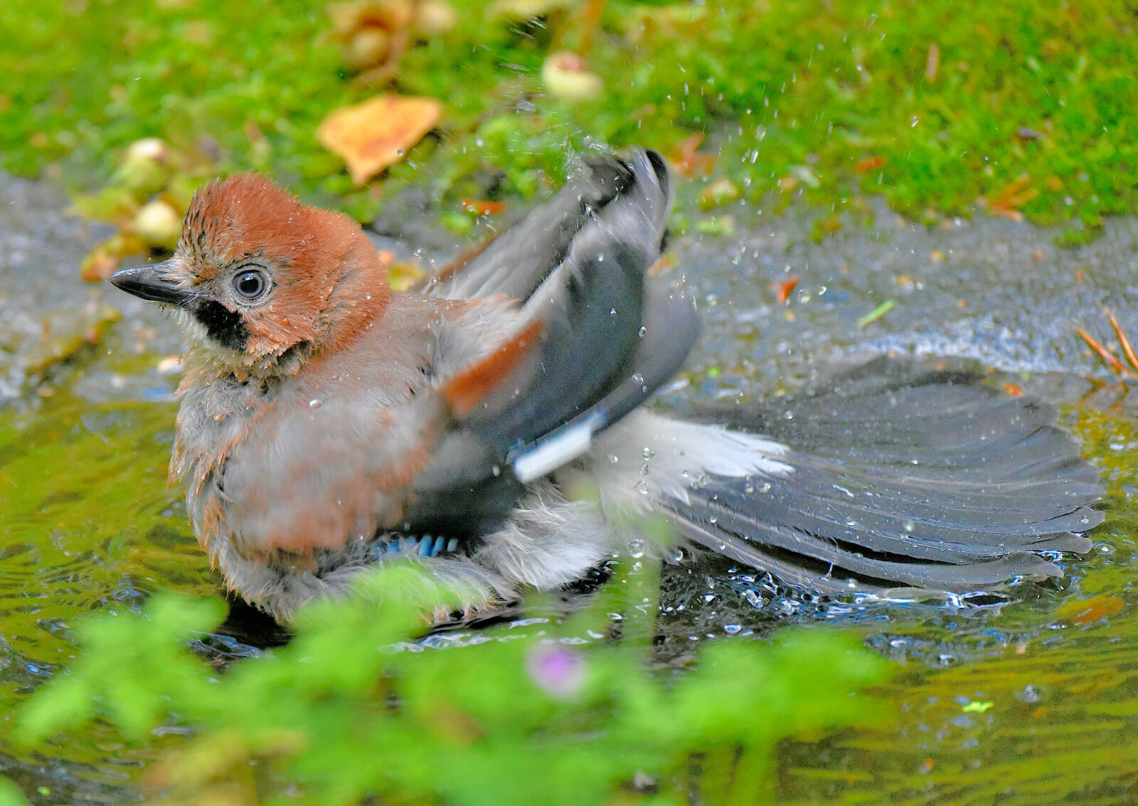 Valokuvaaja: Reijo Juurinen
