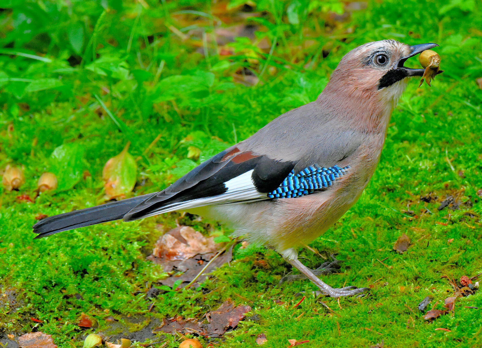 Valokuvaaja: Reijo Juurinen
