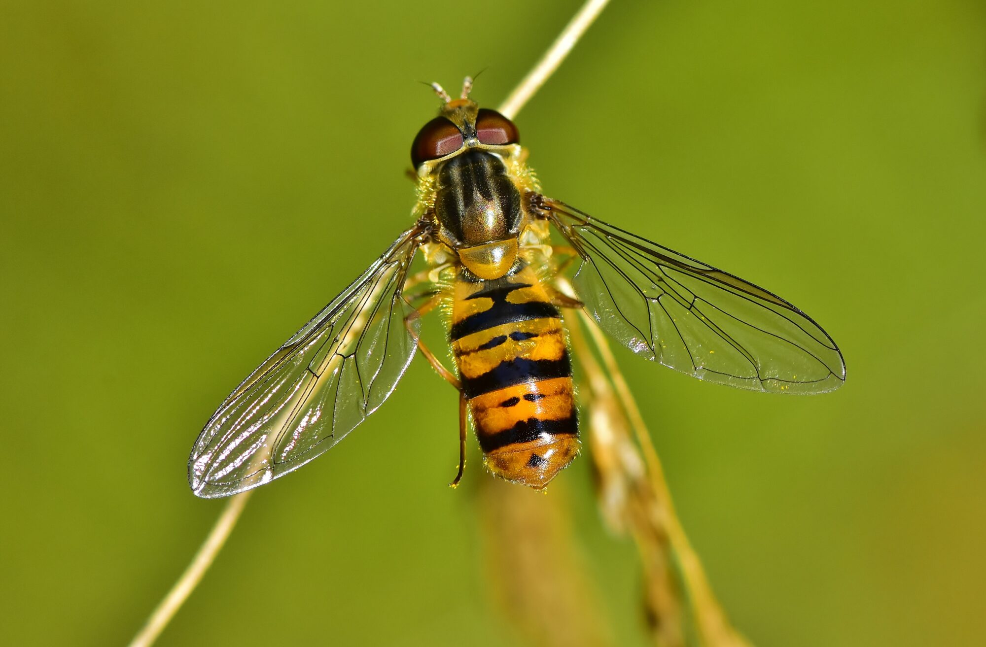 Valokuvaaja: Markku Pelkonen Valokuvaaja: Markku Pelkonen