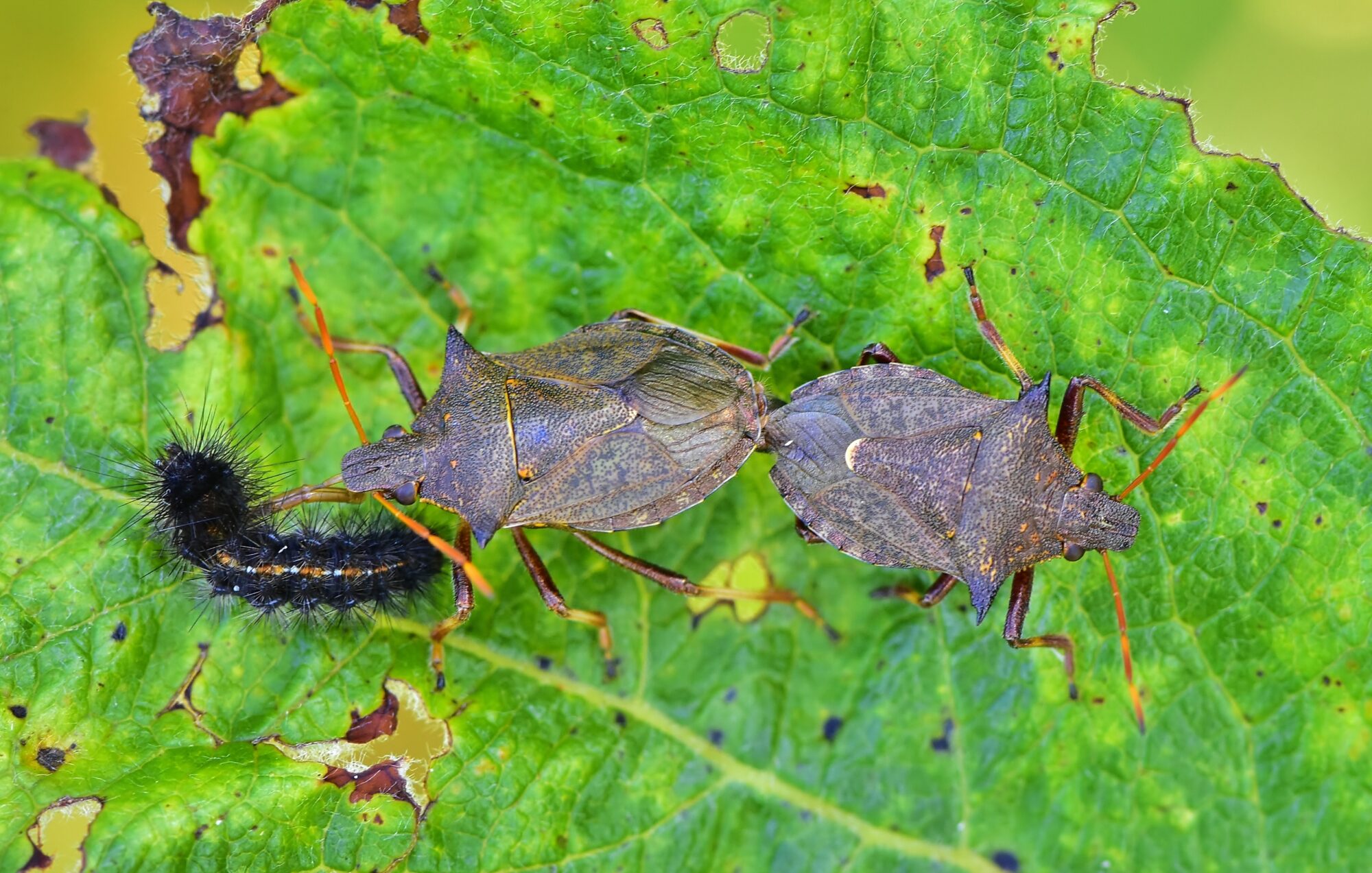 Valokuvaaja: Markku Pelkonen