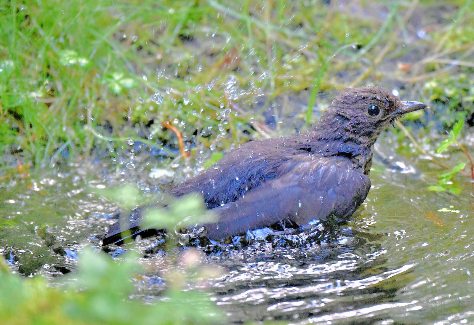 Valokuvaaja: Reijo Juurinen
