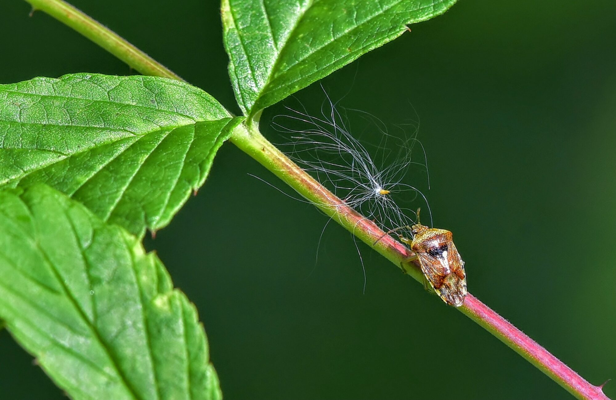 Valokuvaaja: Markku Pelkonen