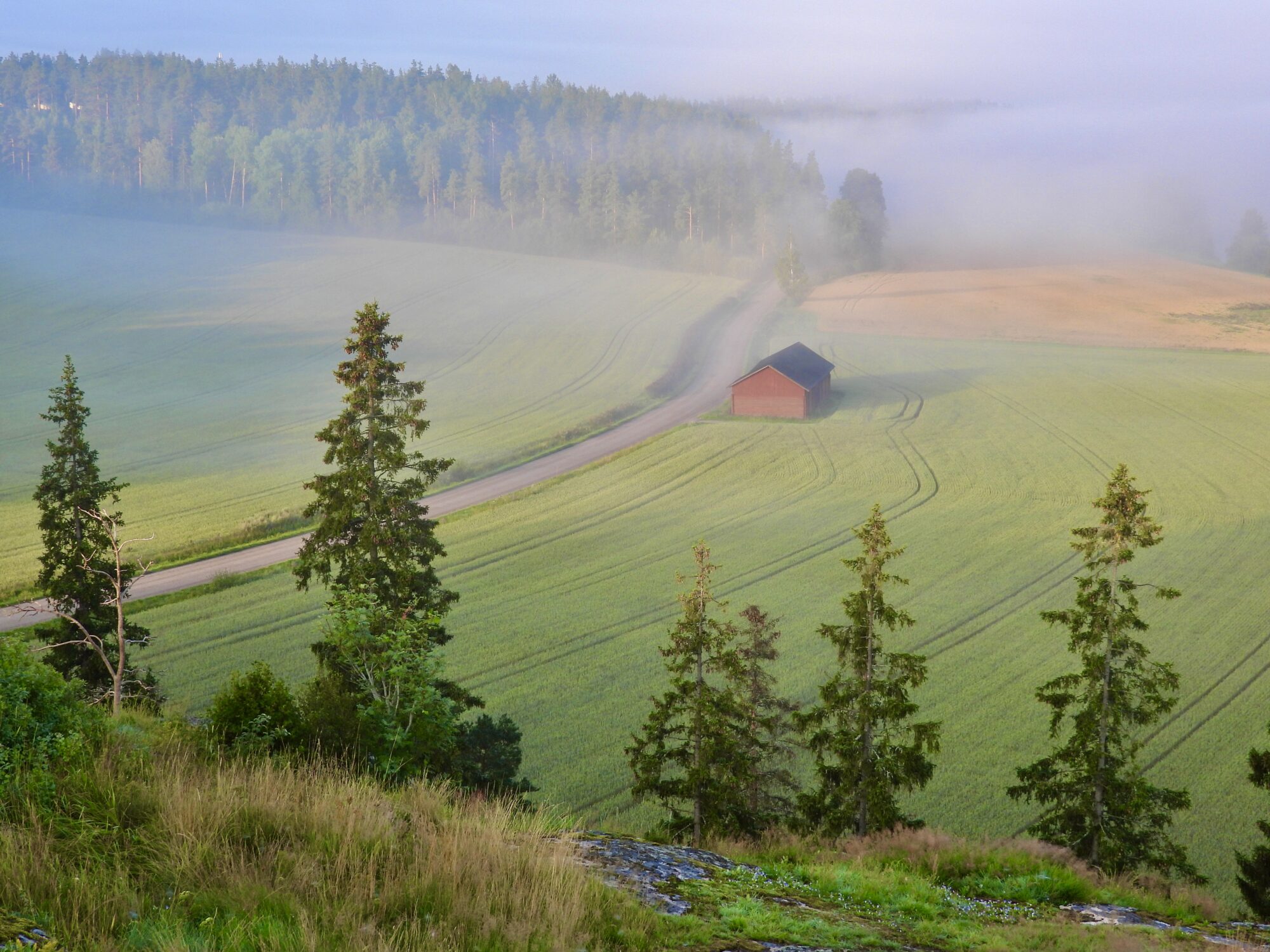 Valokuvaaja: Juhani Peltonen