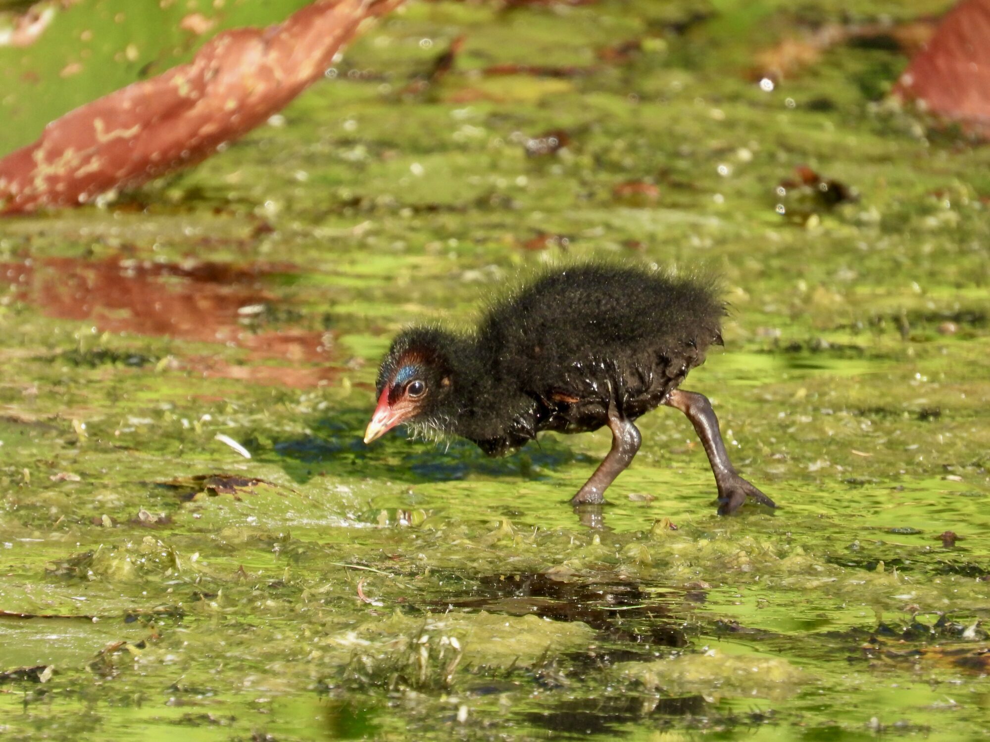 Valokuvaaja: Juhani Peltonen