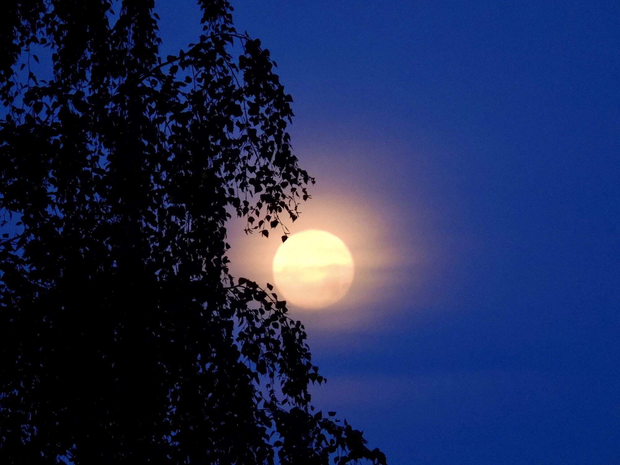 Valokuvaaja: Juhani Peltonen