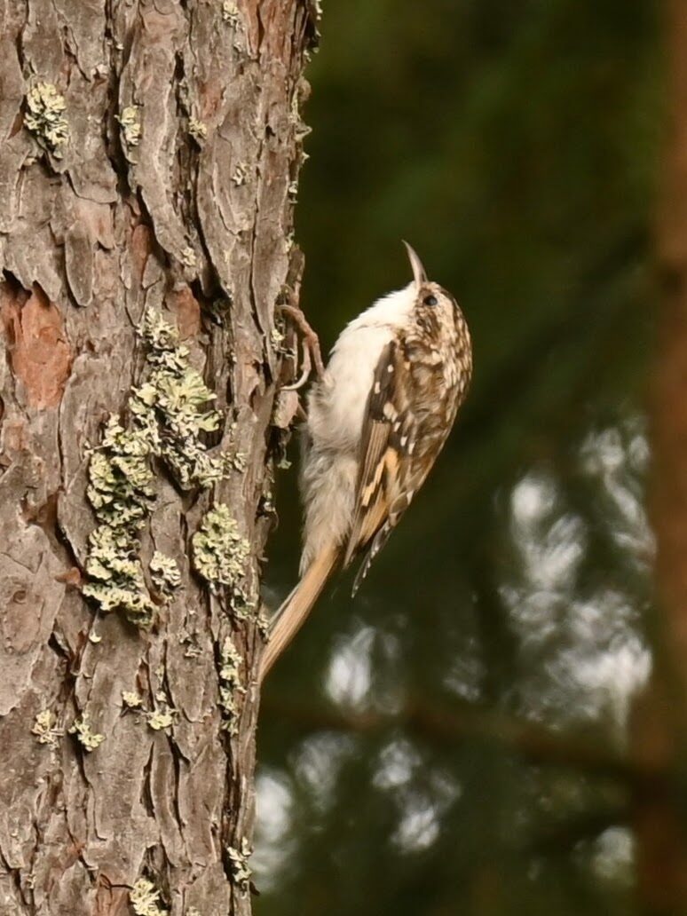 Valokuvaaja: Emilia Miettinen