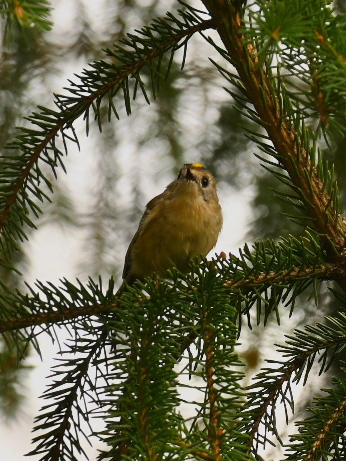 Valokuvaaja: Emilia Miettinen Valokuvaaja: Emilia Miettinen