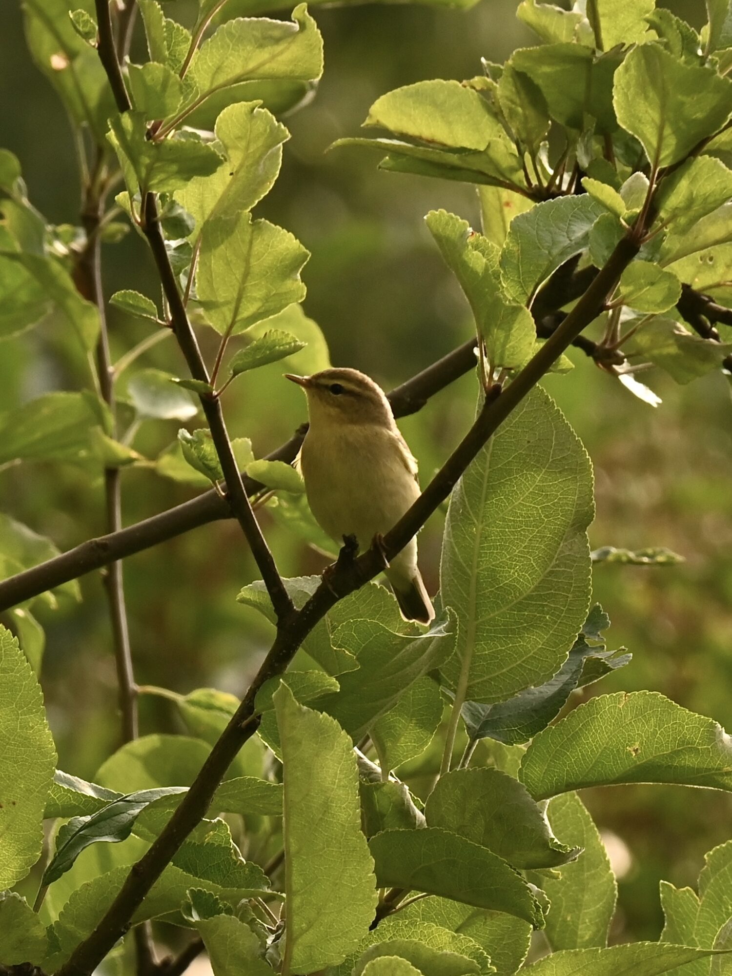 Valokuvaaja: Emilia Miettinen