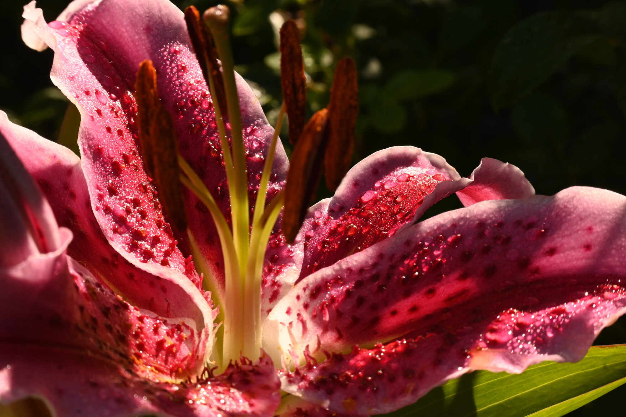 Valokuvaaja: Emilia Miettinen