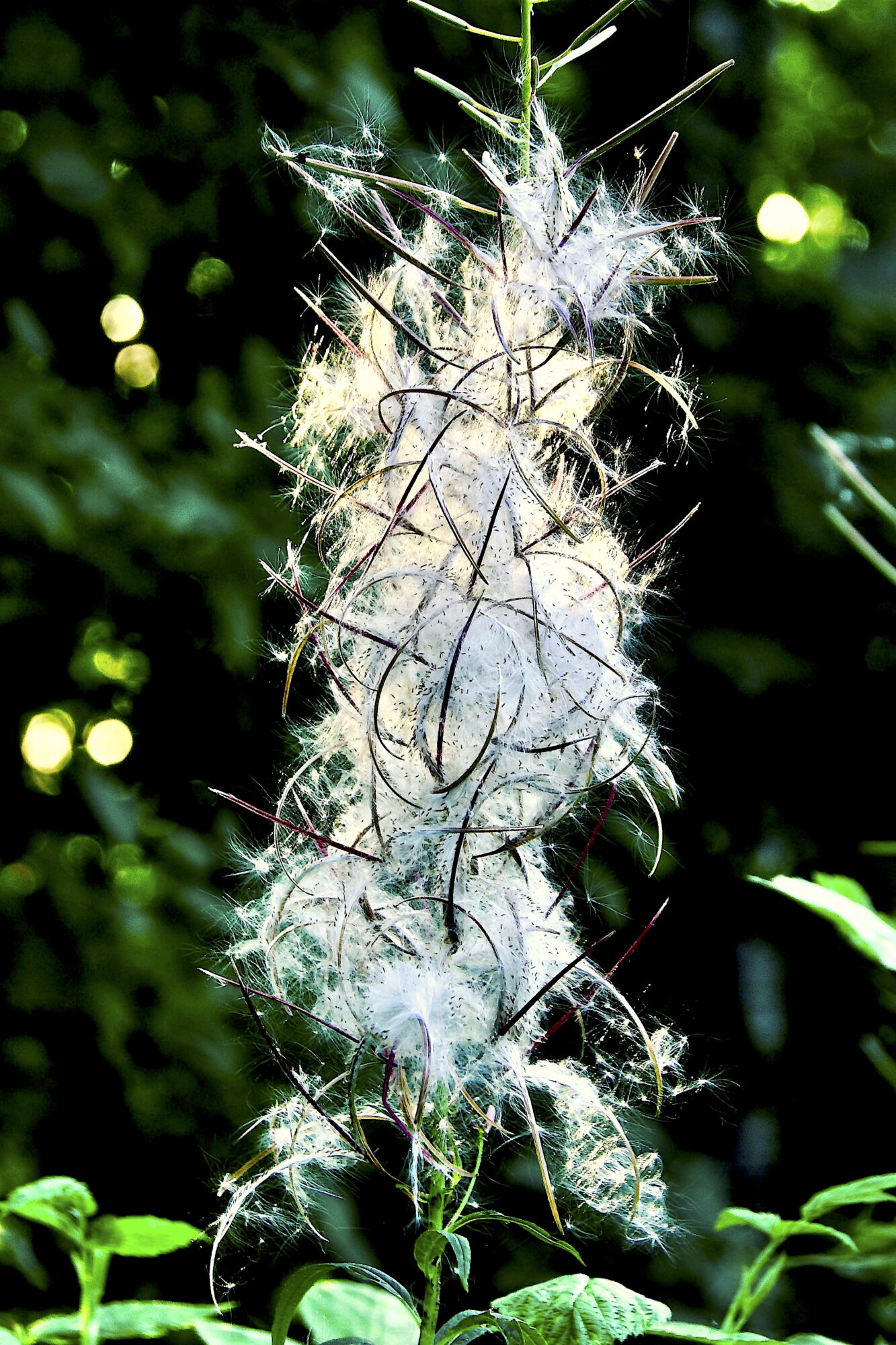 Valokuvaaja: Lasse Rokka