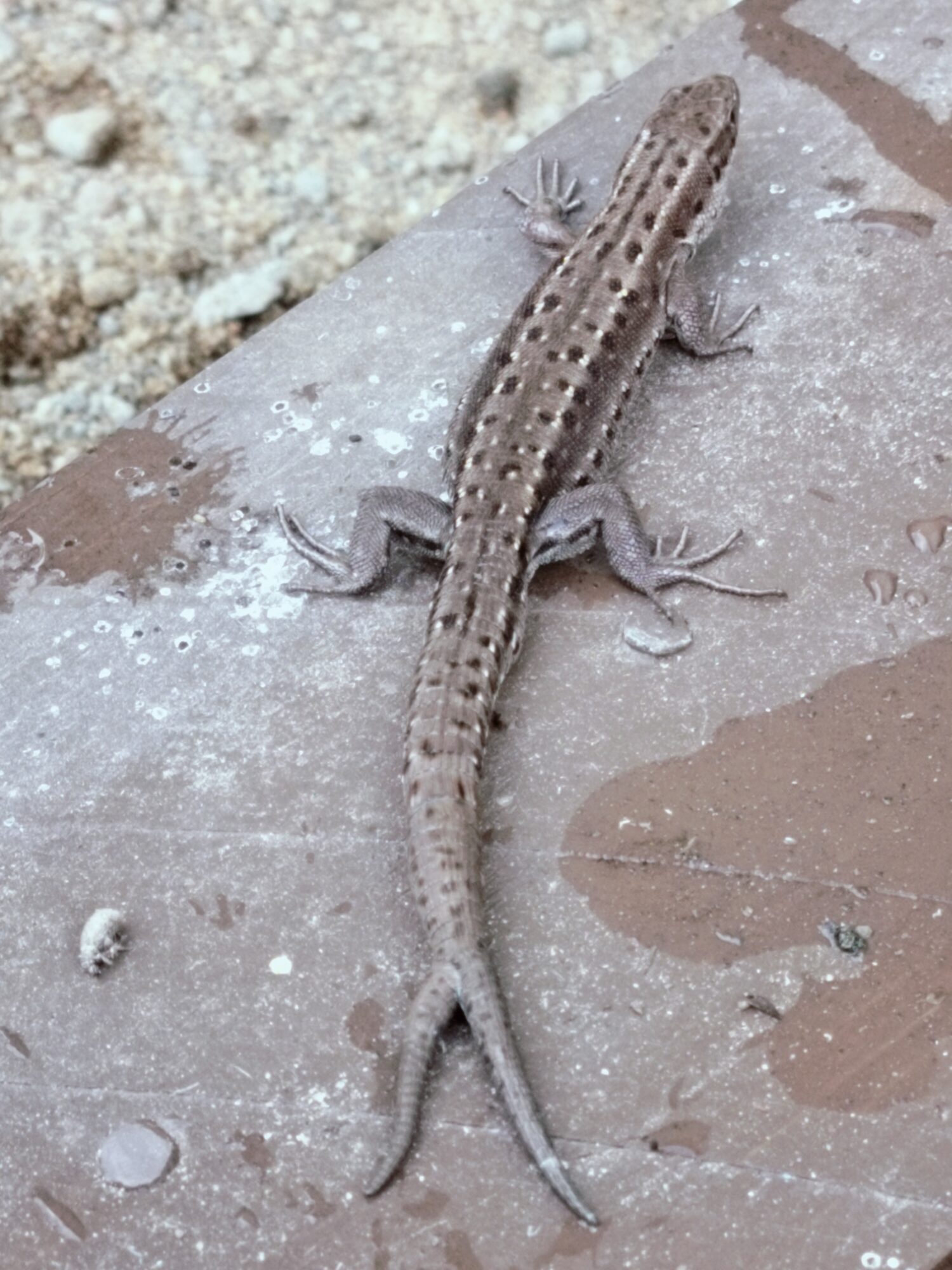 Valokuvaaja: Miia Jatuli