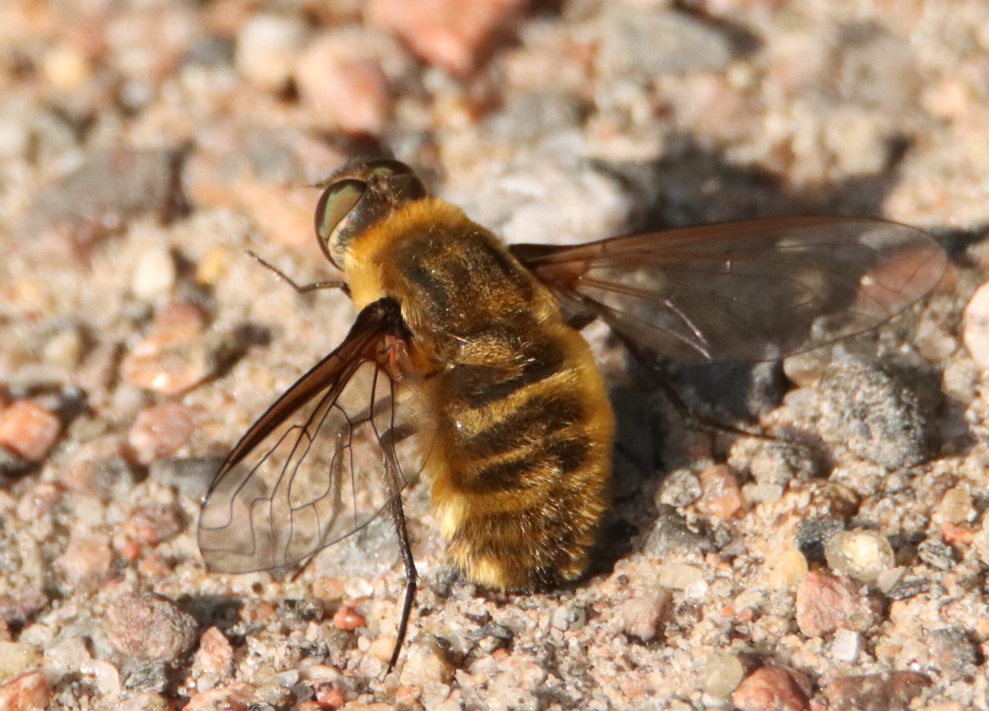 Valokuvaaja: Irja Lehtinen