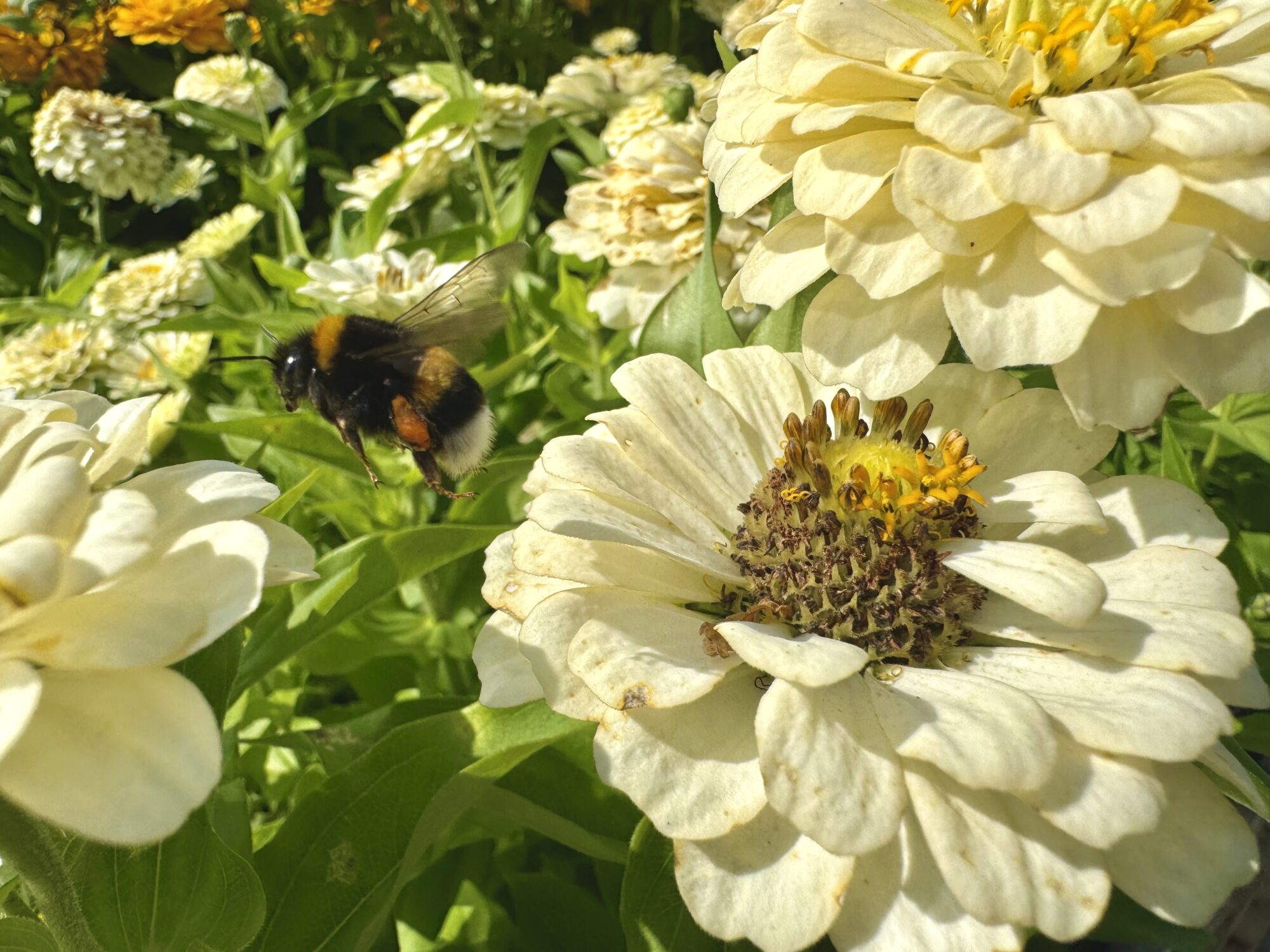 Valokuvaaja: Juhani Peltonen Valokuvaaja: Juhani Peltonen