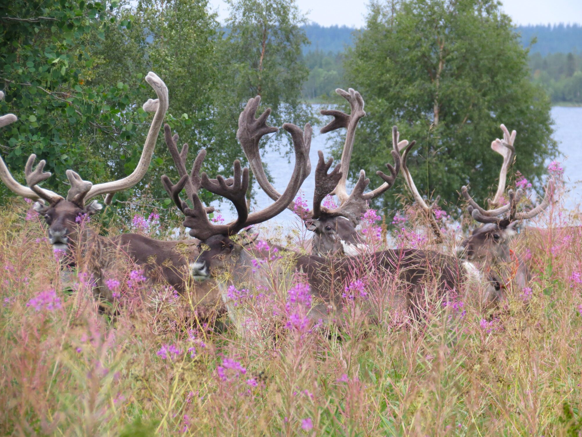 Valokuvaaja: Maija Sieppi