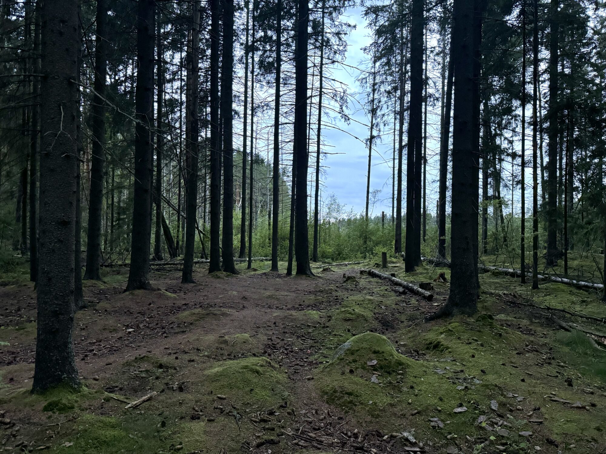 Valokuvaaja: Juhani Peltonen Valokuvaaja: Juhani Peltonen