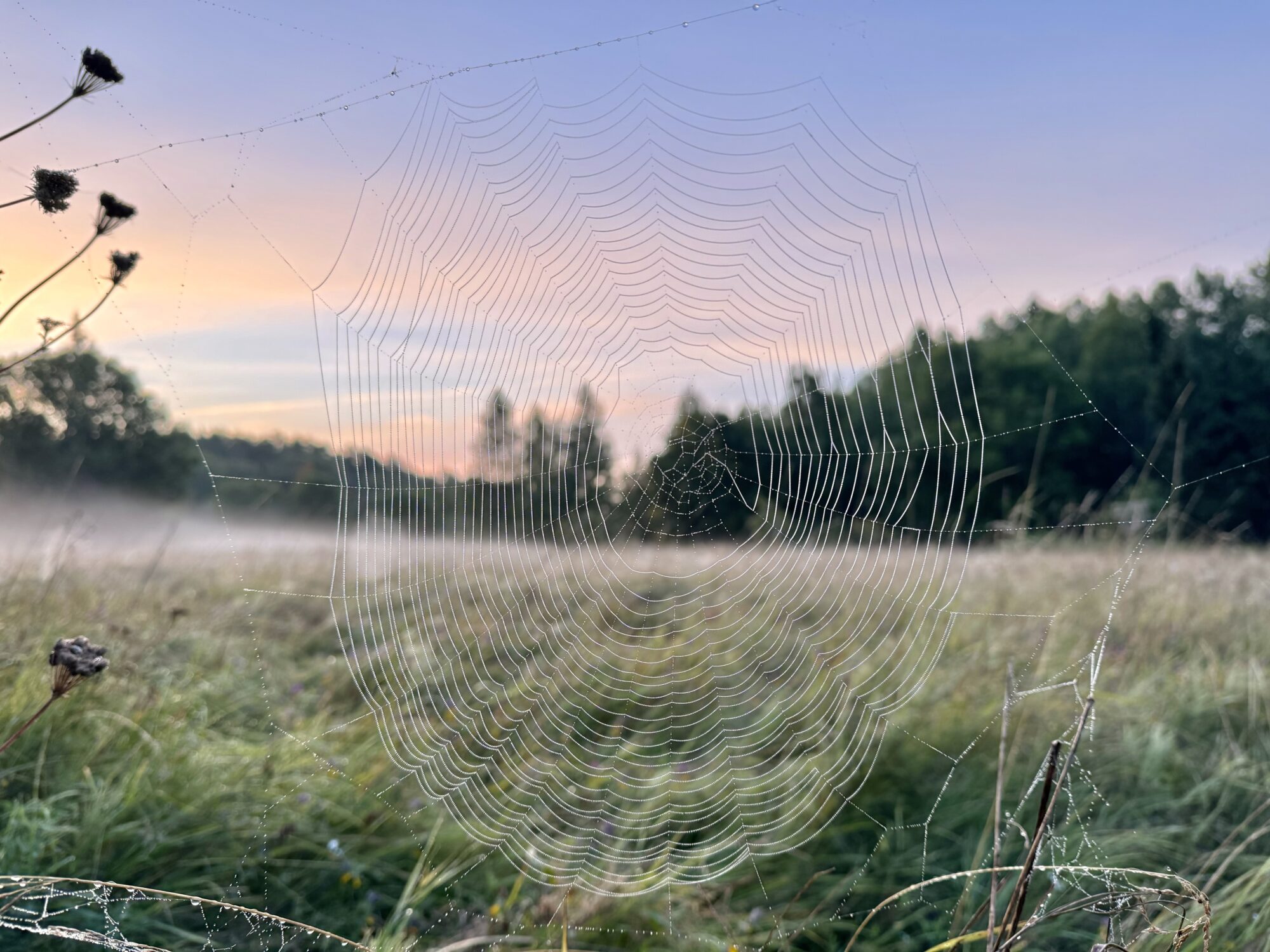 Valokuvaaja: Juhani Peltonen Valokuvaaja: Juhani Peltonen