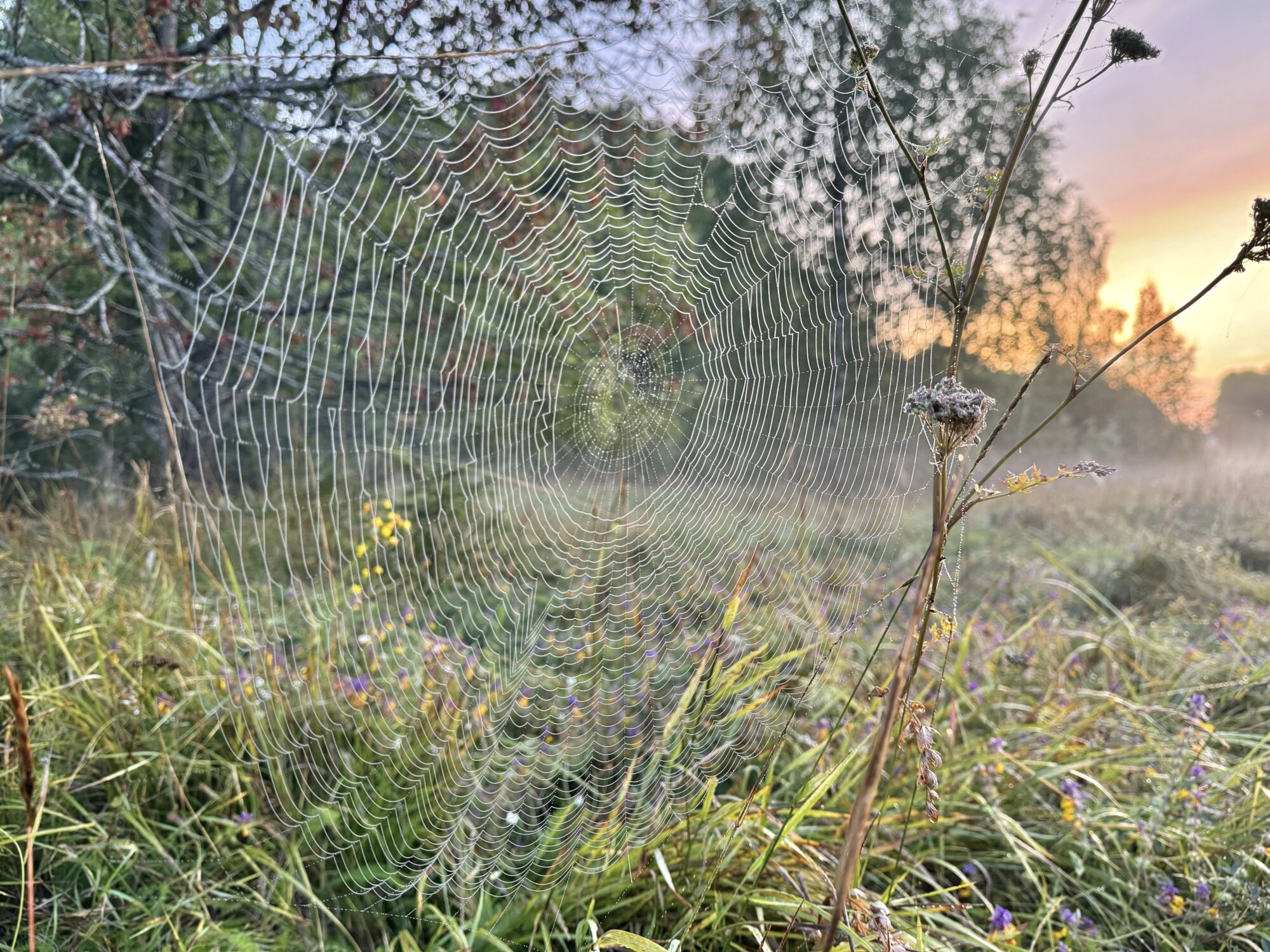 Valokuvaaja: Juhani Peltonen