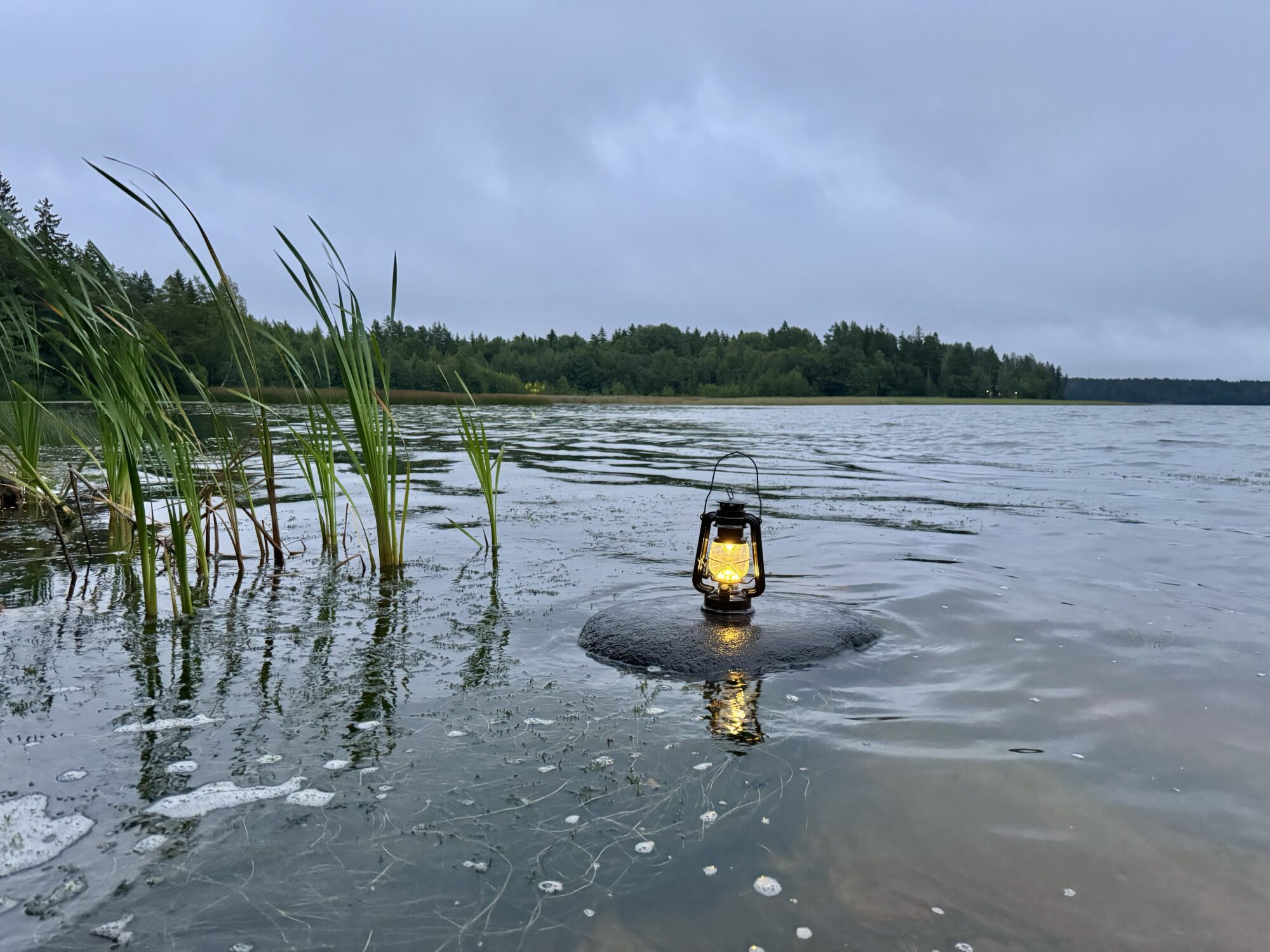 Valokuvaaja: Juhani Peltonen