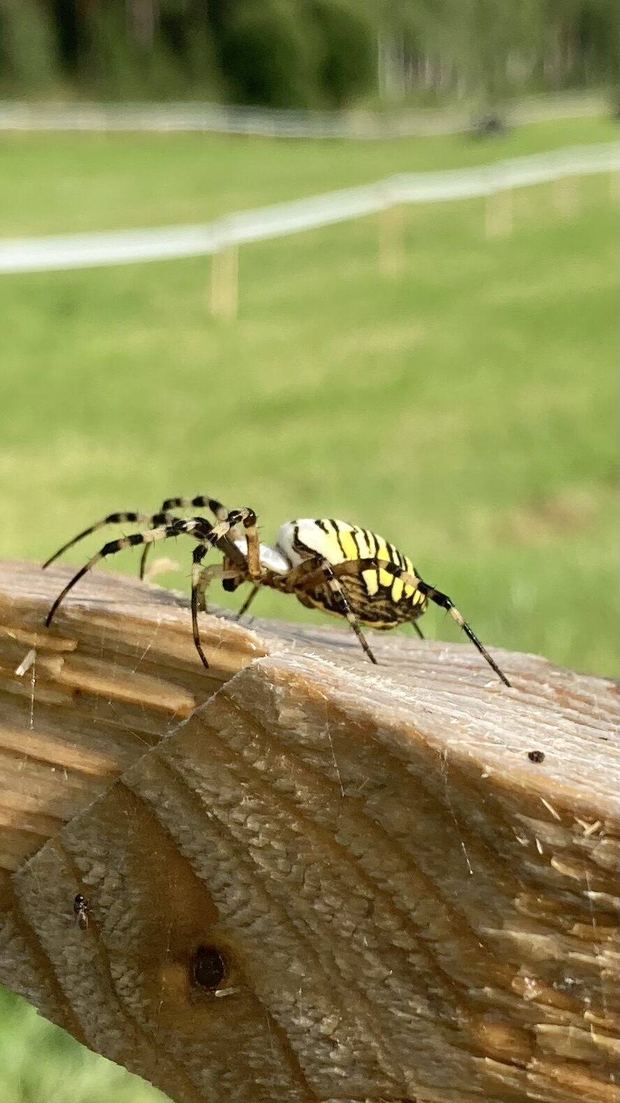 Valokuvaaja: Jari Virtanen