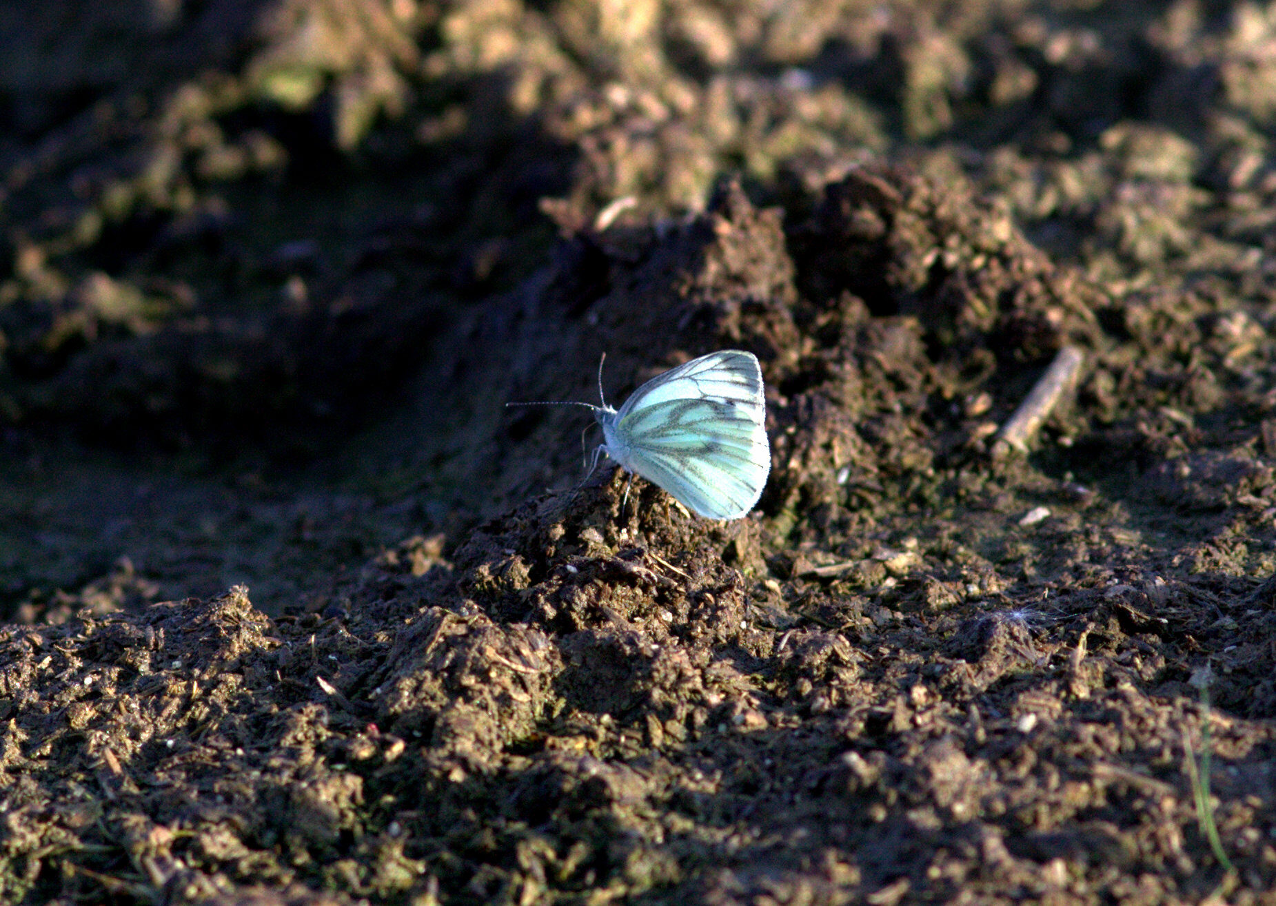 Valokuvaaja: tapio keinonen