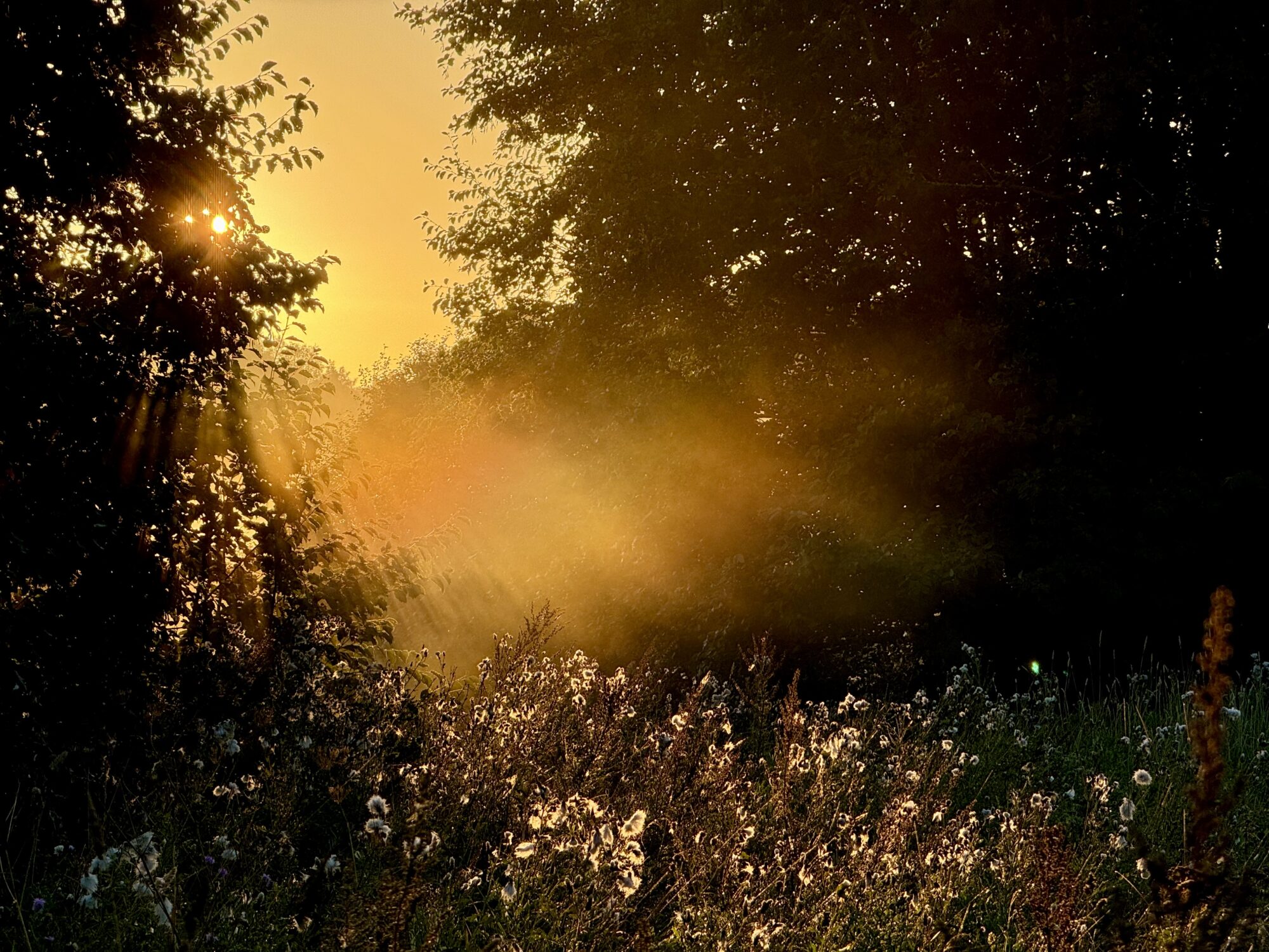 Valokuvaaja: Juhani Peltonen