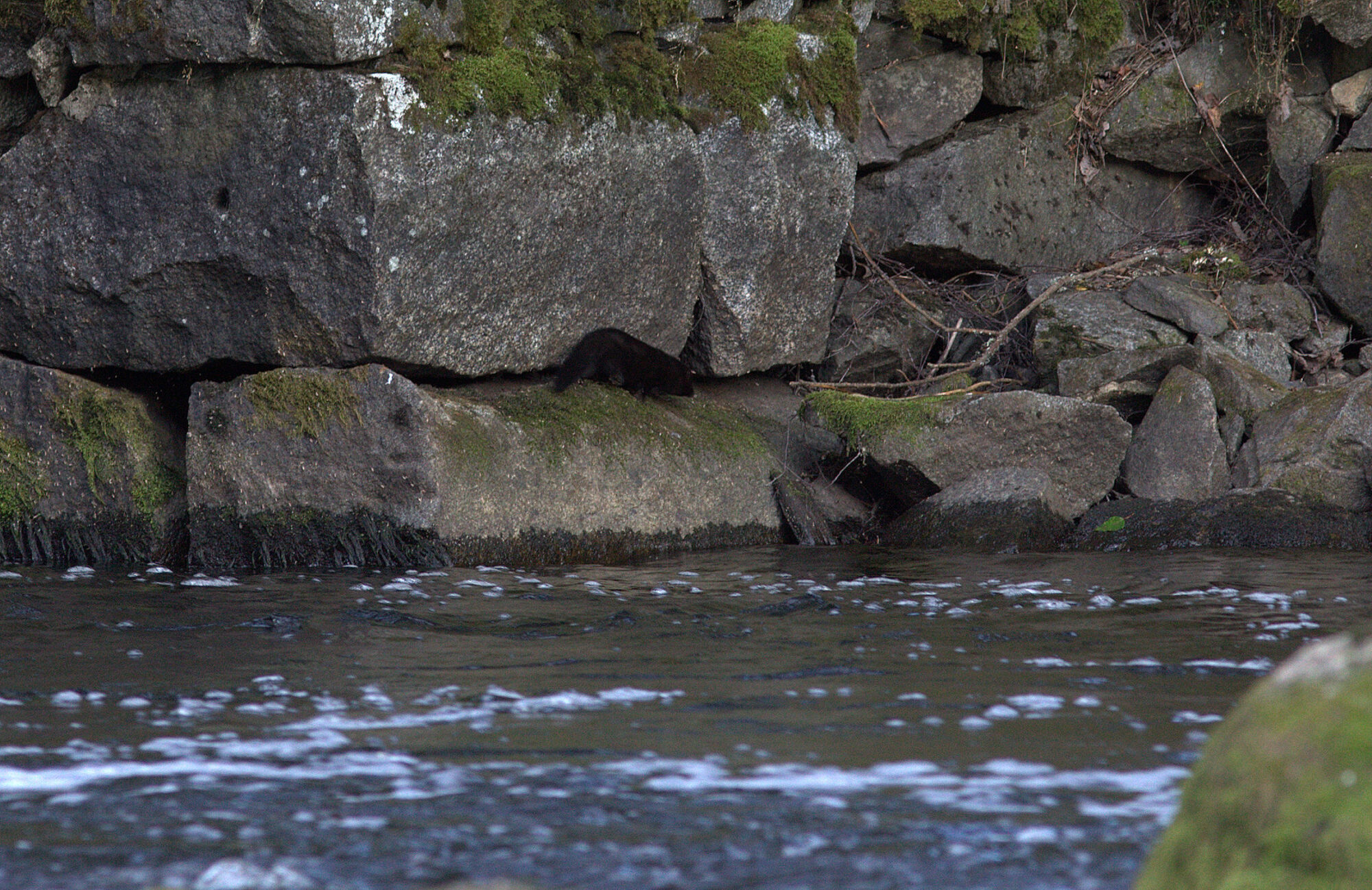 Valokuvaaja: tapio keinonen Valokuvaaja: tapio keinonen