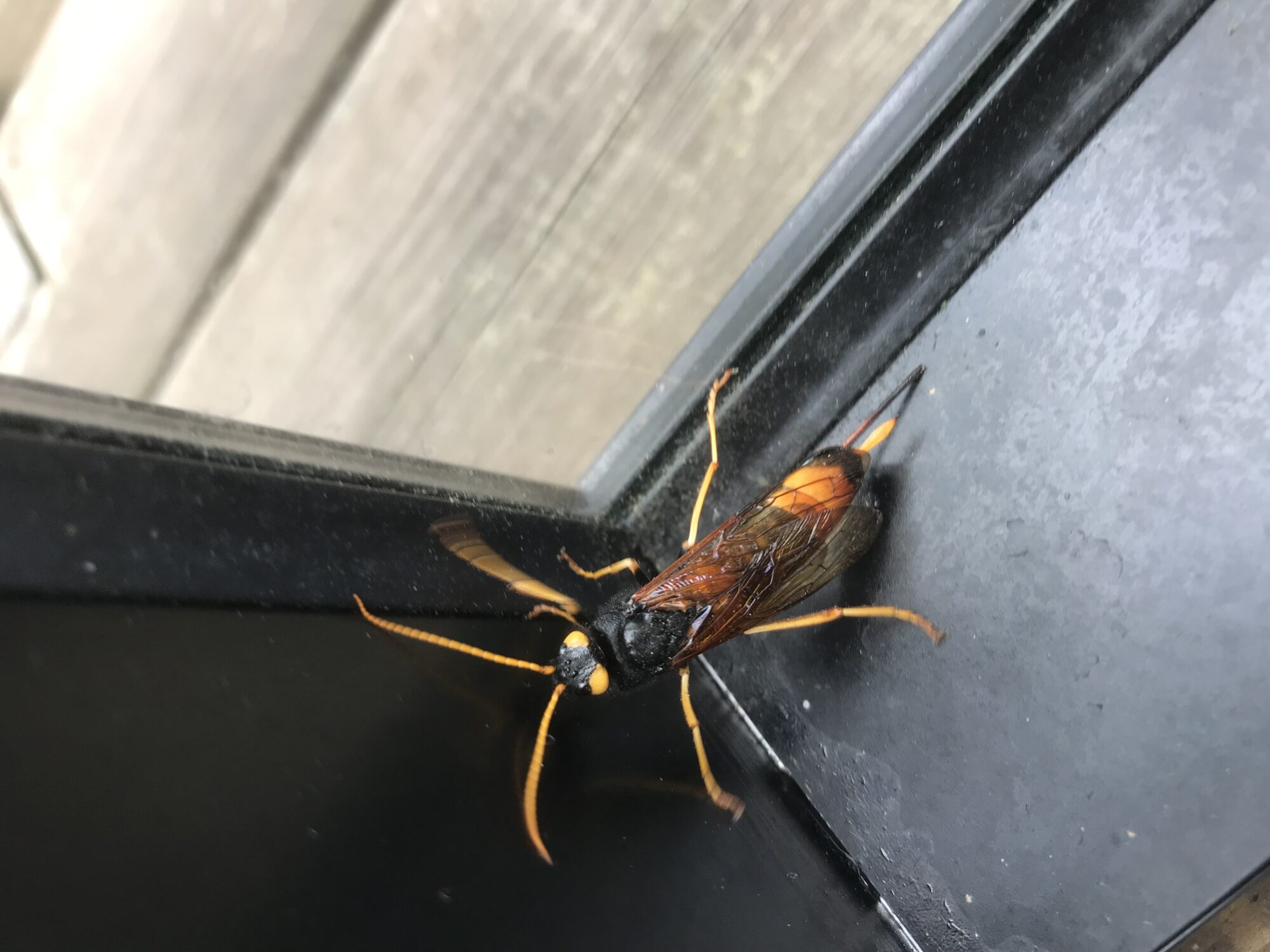 Valokuvaaja: Matti kallio