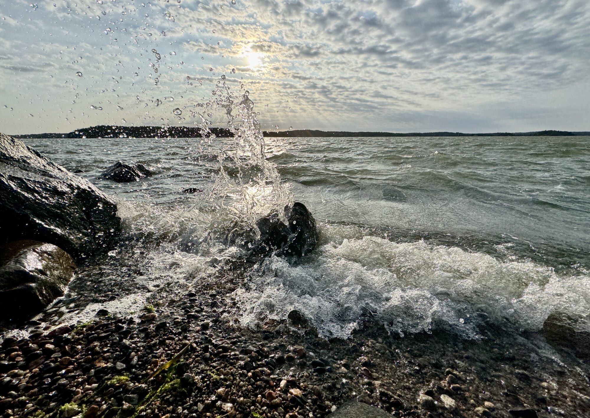 Valokuvaaja: Juhani Peltonen