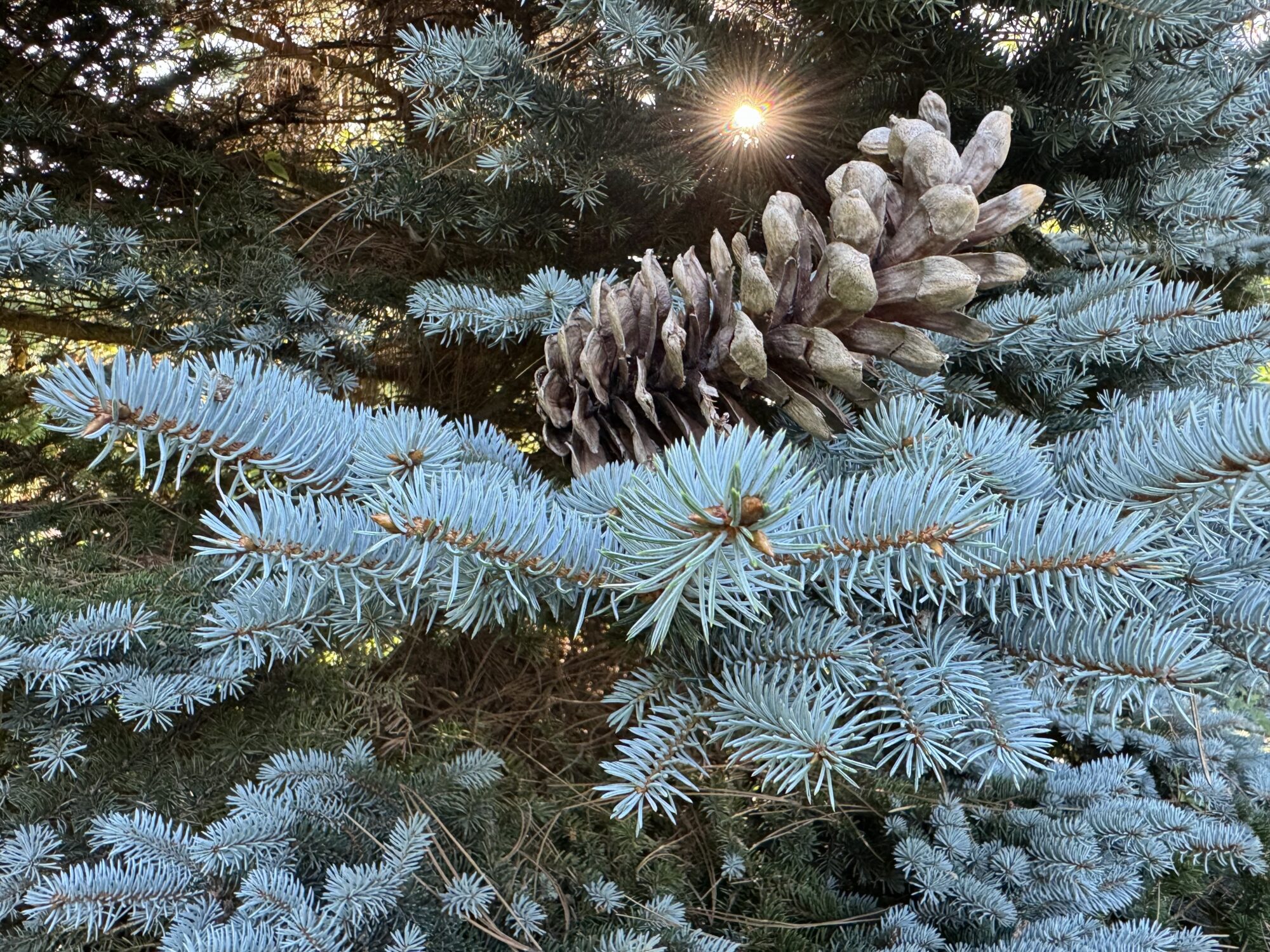 Valokuvaaja: Juhani Peltonen