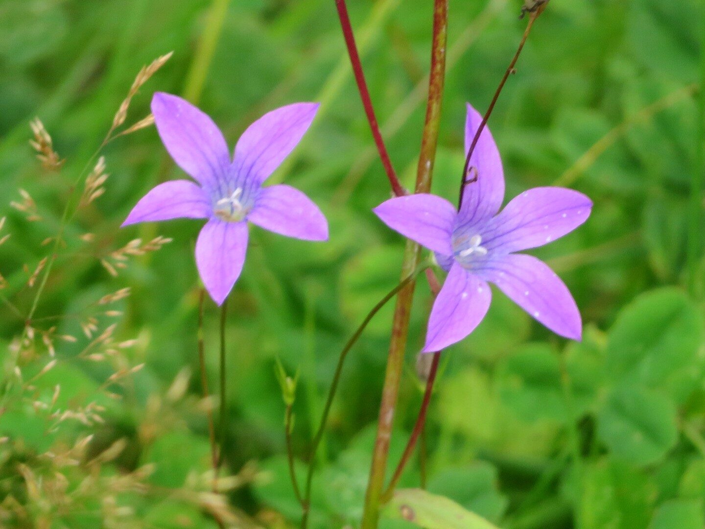 Valokuvaaja: Risto Kangassalo