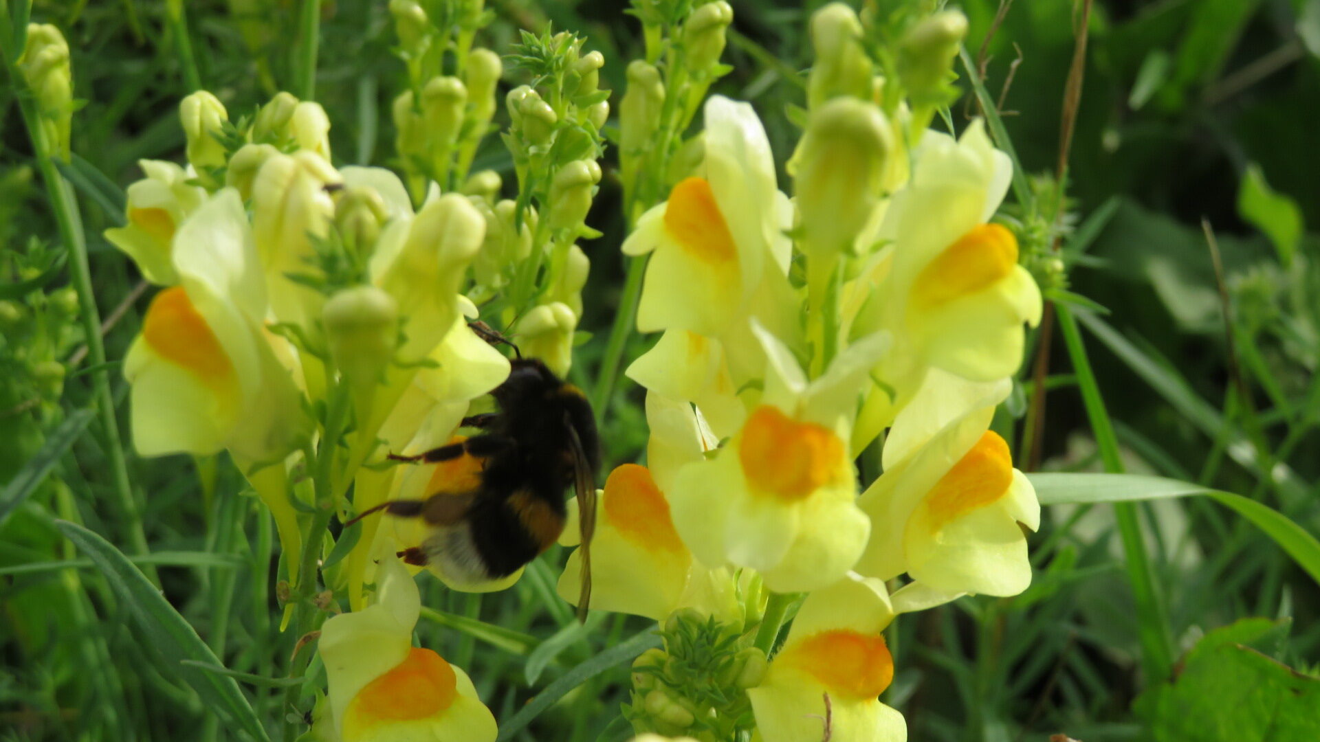 Valokuvaaja: Risto Kangassalo