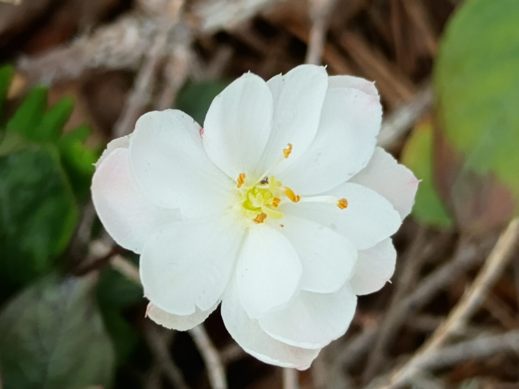 Valokuvaaja: Anne Viitalaakso