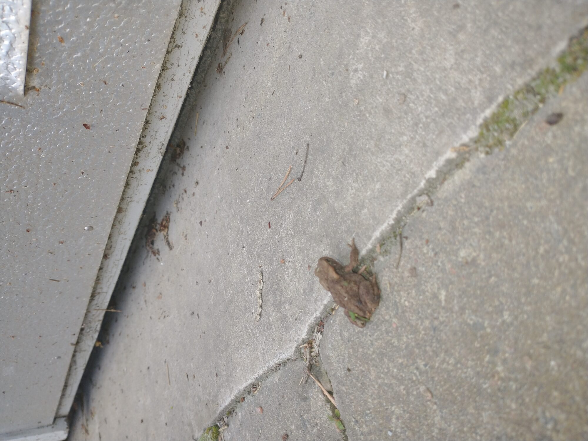 Valokuvaaja: Janina Sallegren