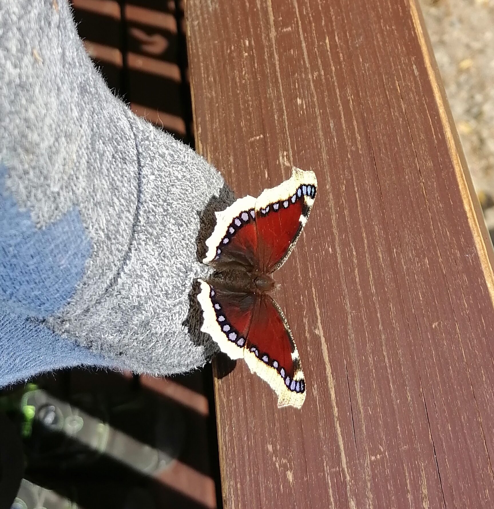 Valokuvaaja: Ulla Vahvanen