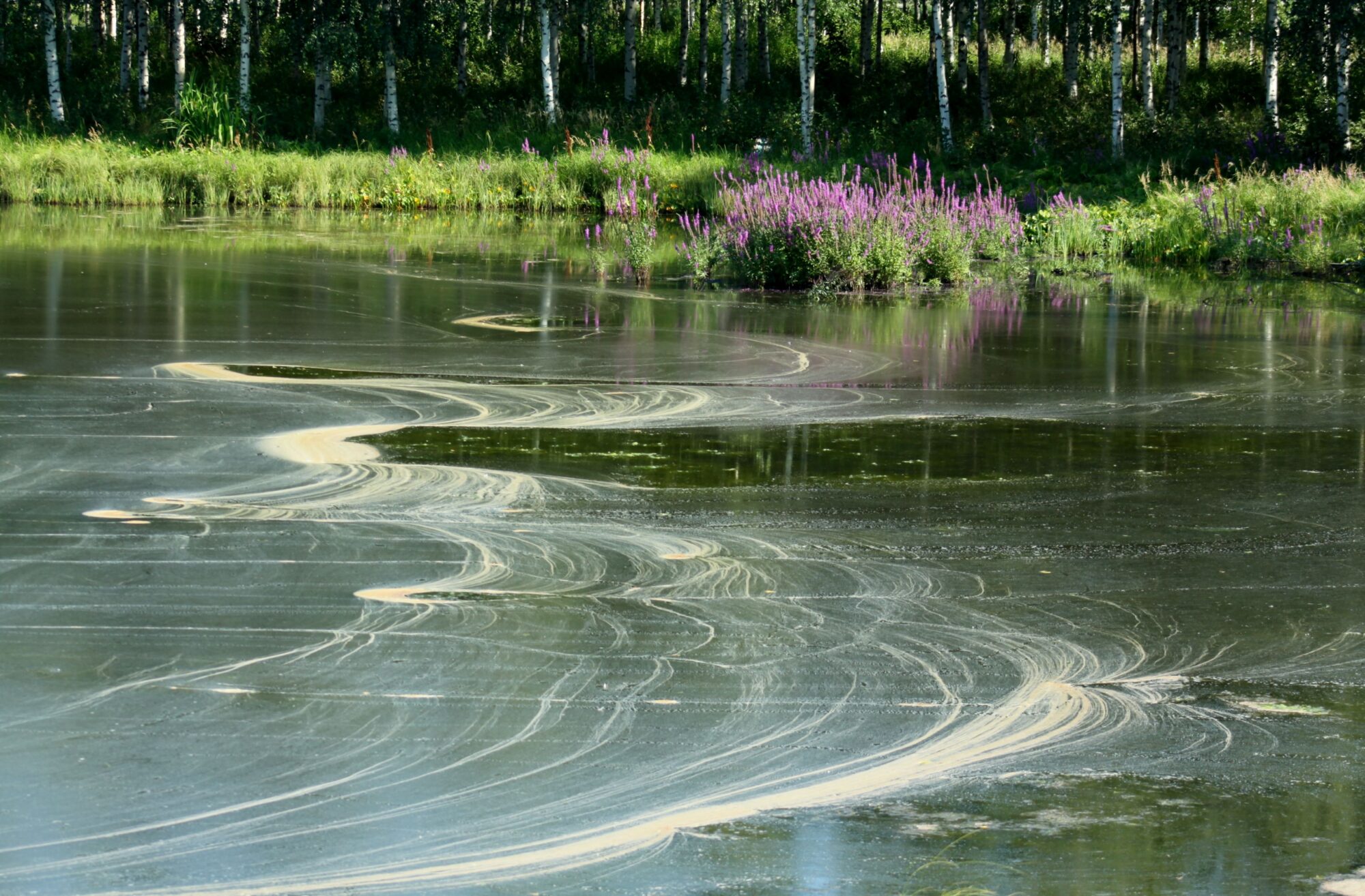 Valokuvaaja: Pirkko Siukonen