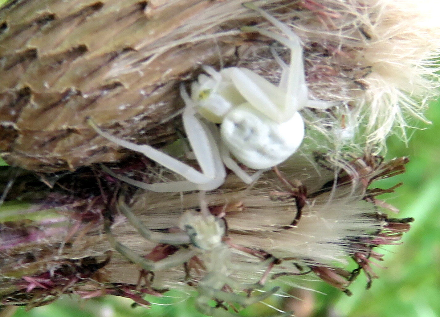 Valokuvaaja: jarmo alonen