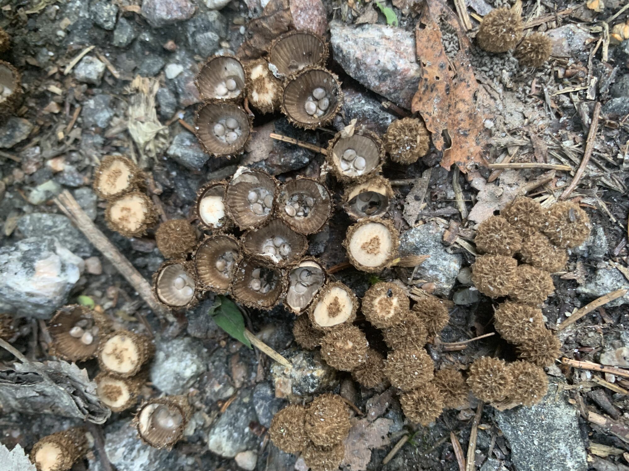 Valokuvaaja: Minna Paajanen