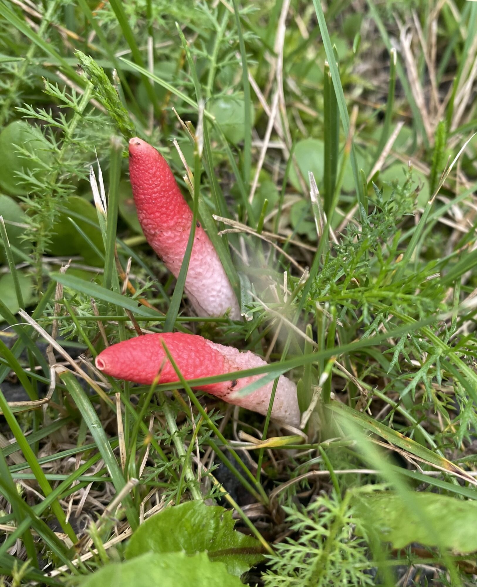 Valokuvaaja: Jukka seppälä