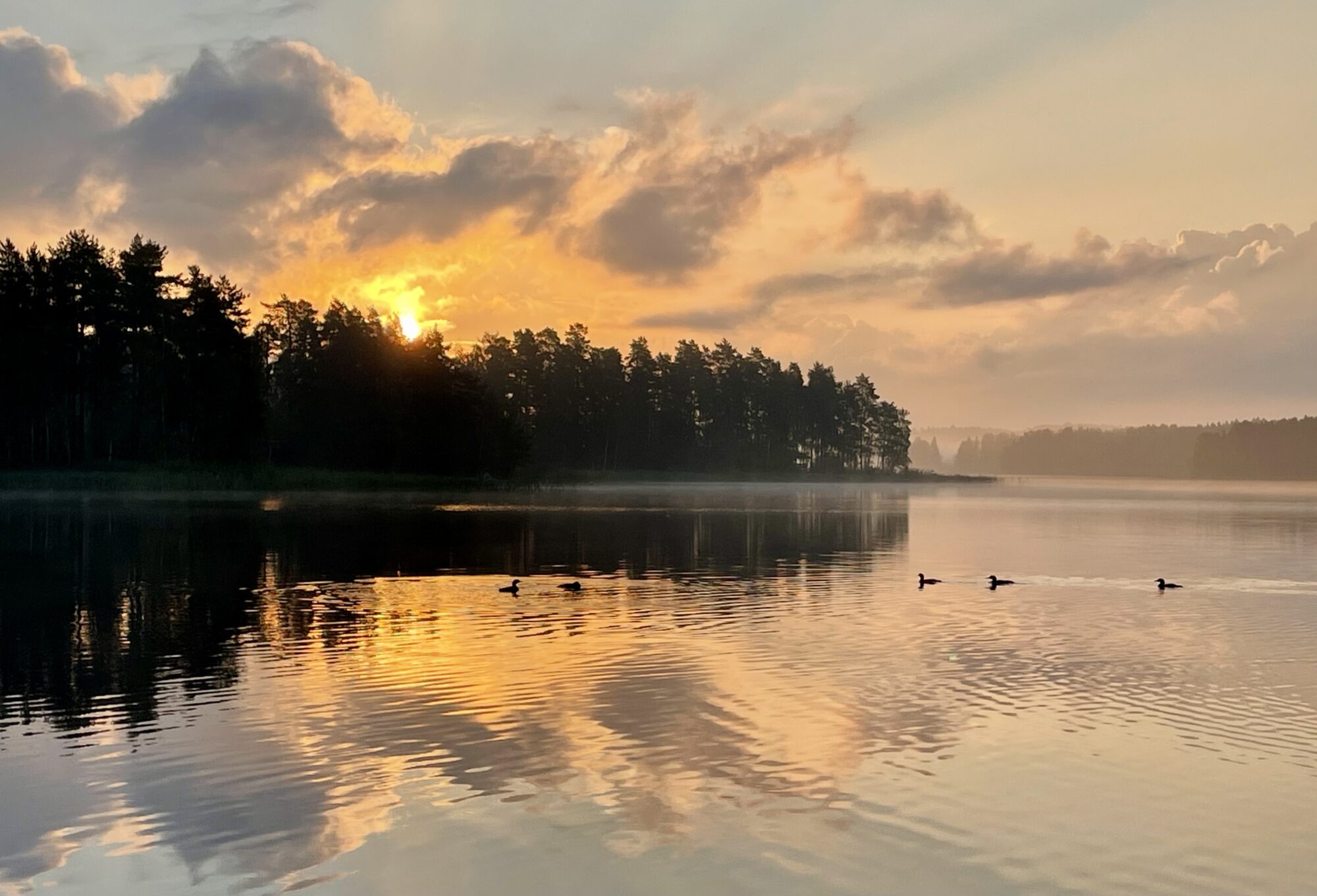 Valokuvaaja: Liisa Niiva-Korpela Valokuvaaja: Liisa Niiva-Korpela