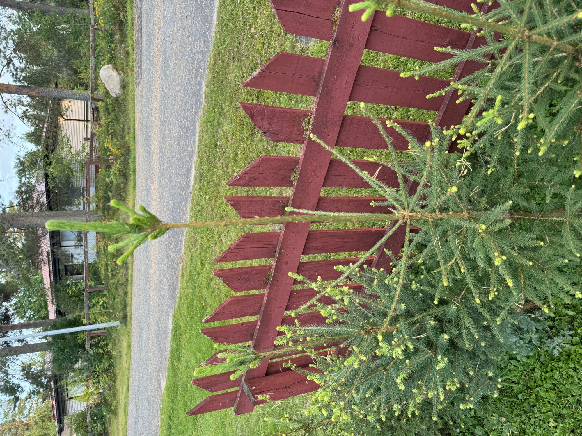 Valokuvaaja: Pasi Hiltunen