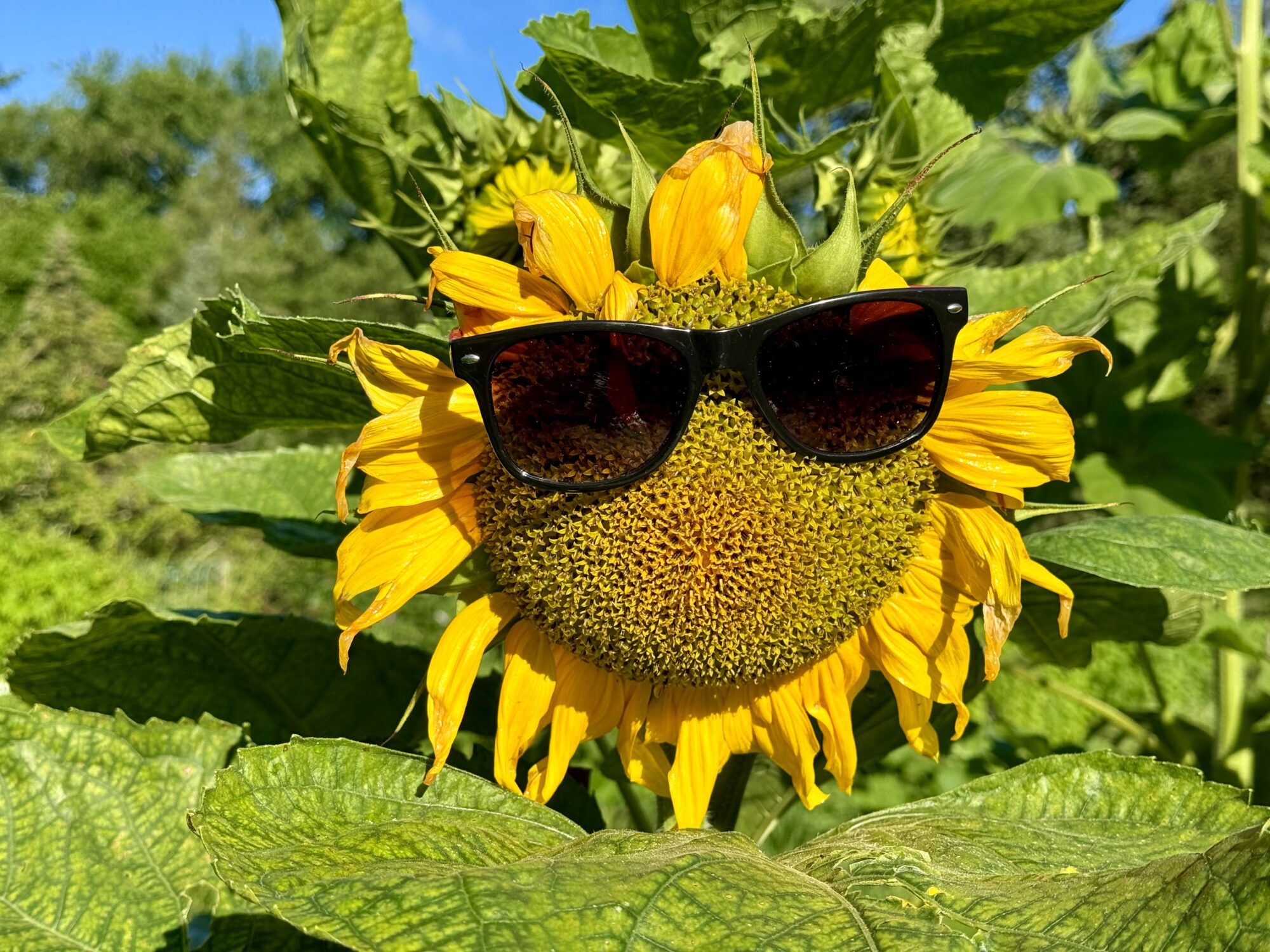 Valokuvaaja: Juhani Peltonen