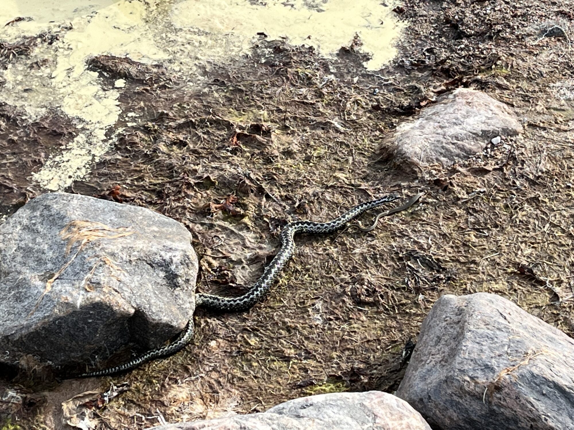 Valokuvaaja: Teresa Czuryszkiewicz