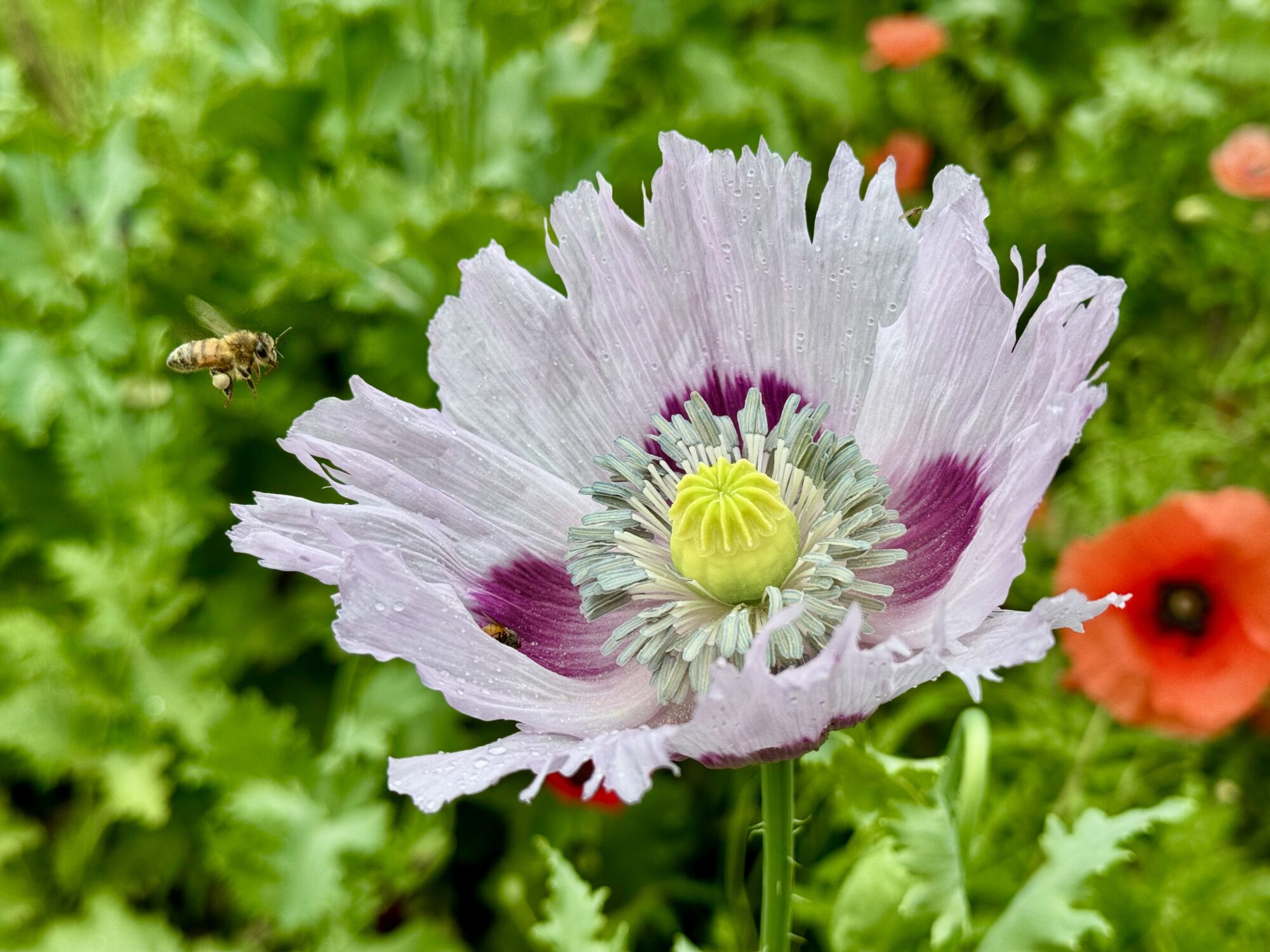 Valokuvaaja: Juhani Peltonen