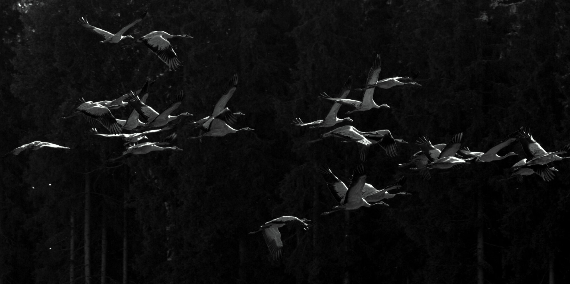 Valokuvaaja: Tapio Keinonen