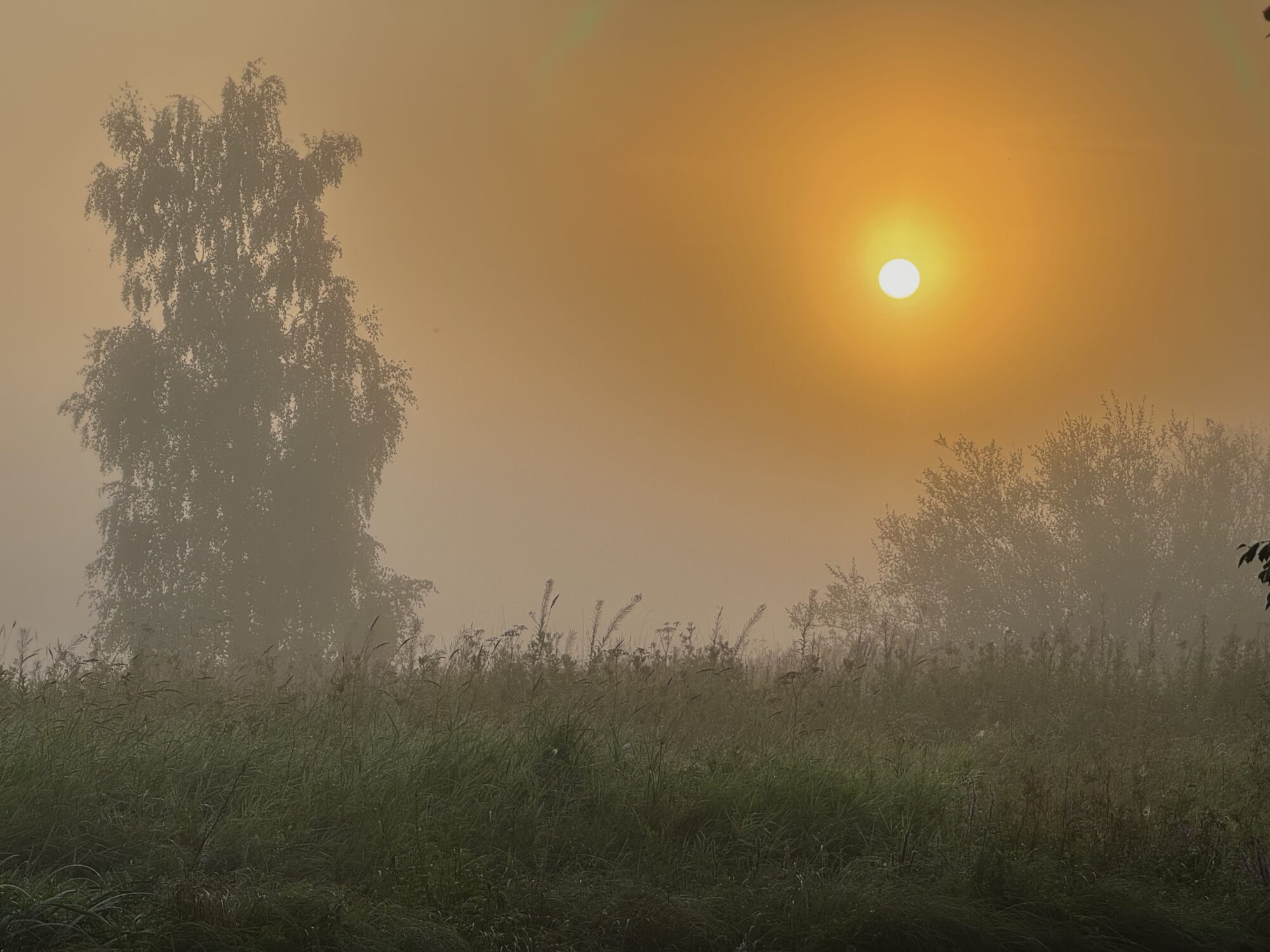 Valokuvaaja: Juhani Peltonen